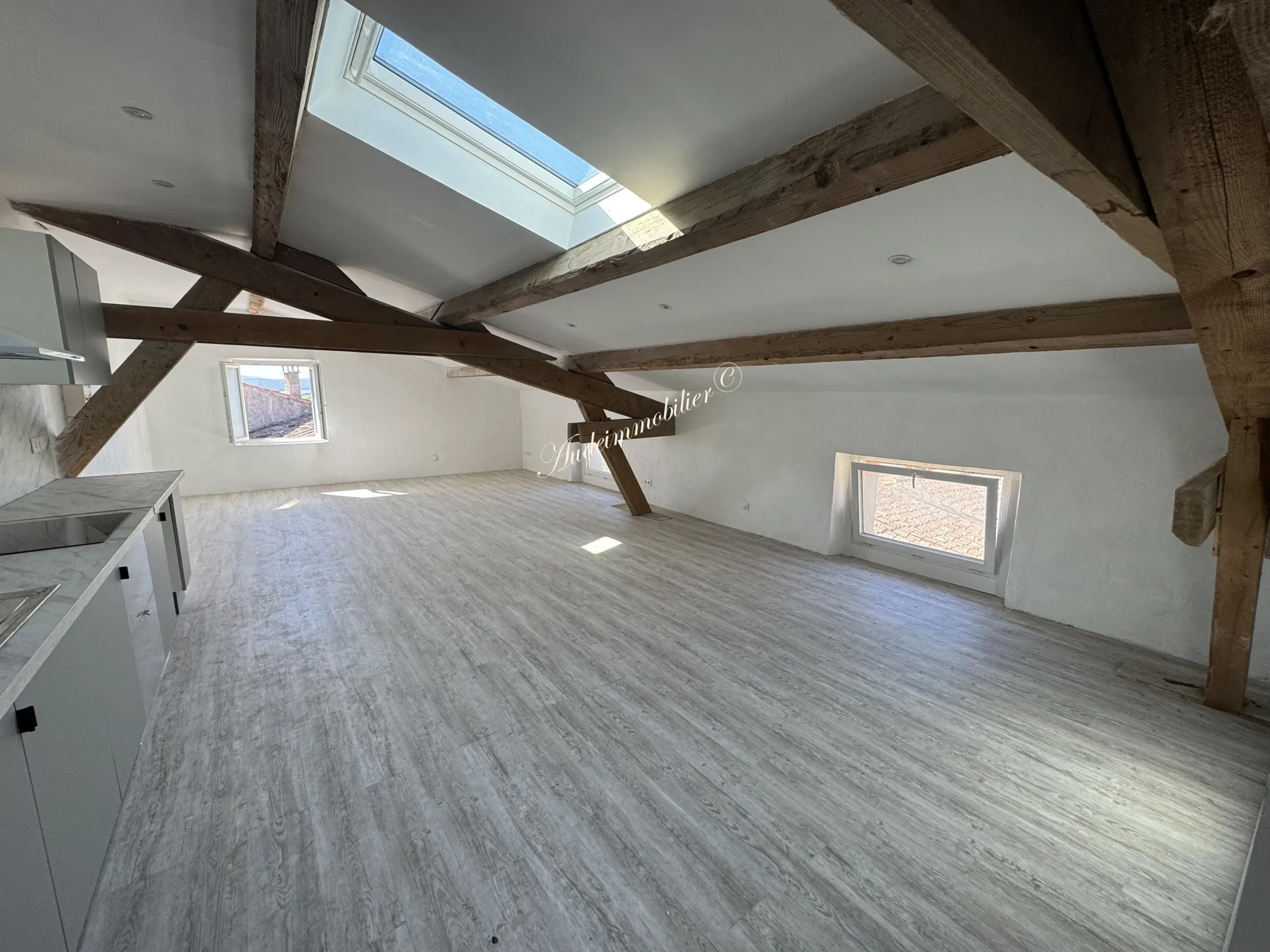 Immeuble de 3 appartements avec jardin et dépendances à Malvies, proche Limoux 