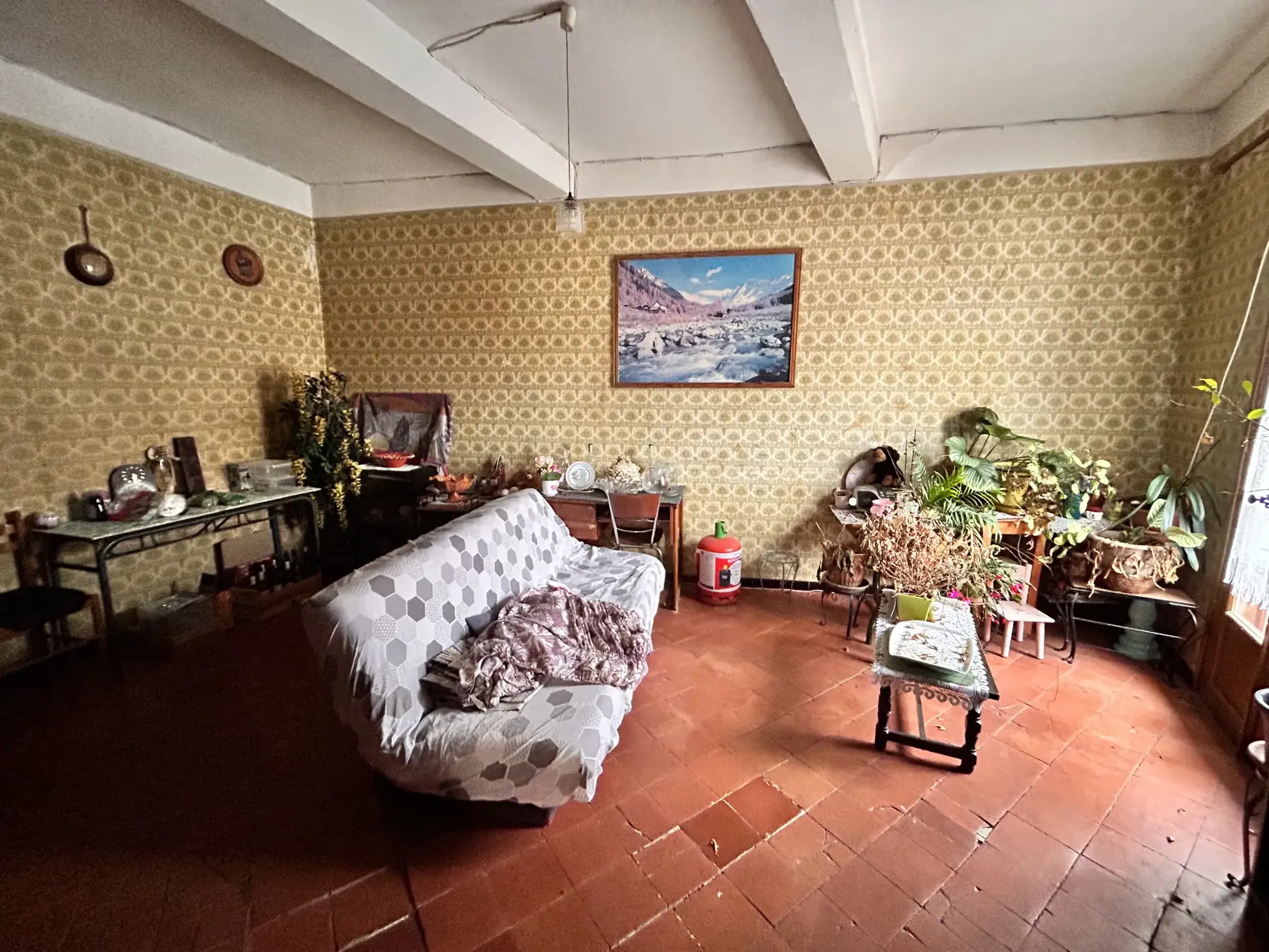 Maison de ville avec jardin et garage à Saint-Féliu-d’Amont - Opportunité à saisir 