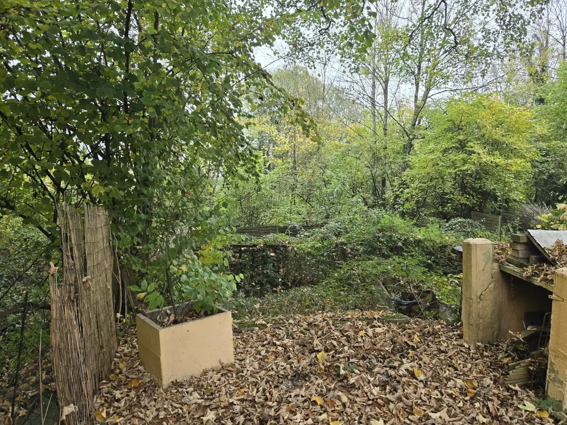 Maison de caractère à Frouard, 4 pièces, à rénover, avec jardin et éléments d'époque 