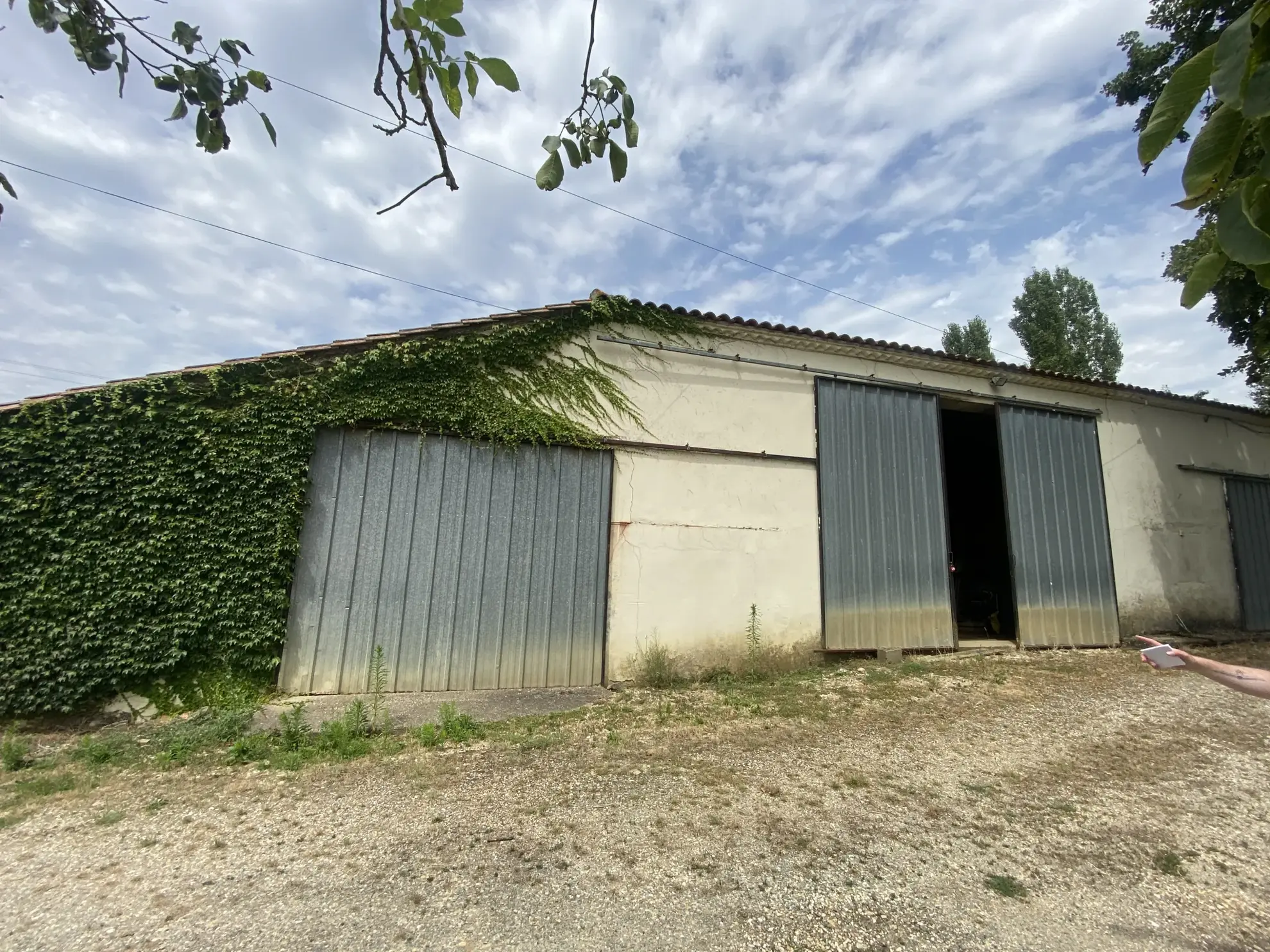 Maison avec dépendance sur un terrain de plus de 1 hectare à Sauveterre de Guyenne 