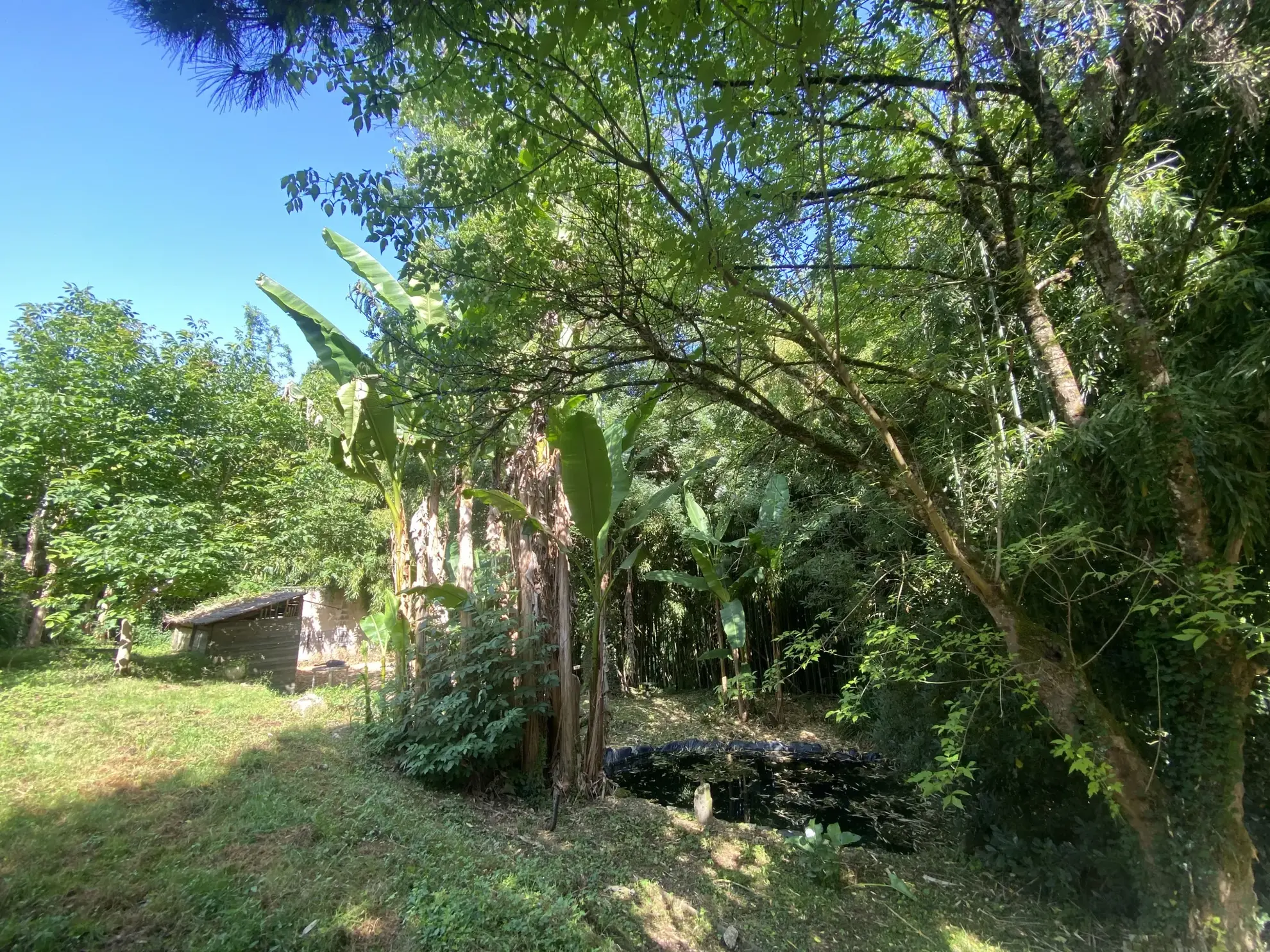 Magnifique maison ancienne de 195 m² avec jardin à proximité de La Reole et Sauveterre de Guyenne 