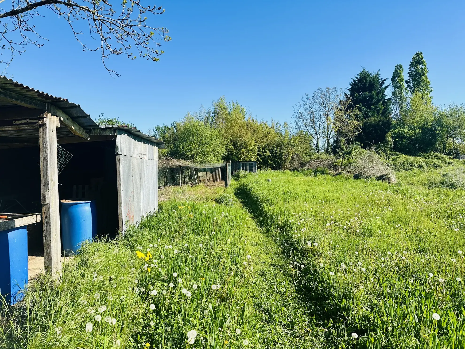 Maison de campagne avec dépendances à Voille – 3 chambres, terrain arboré, proche Niort 