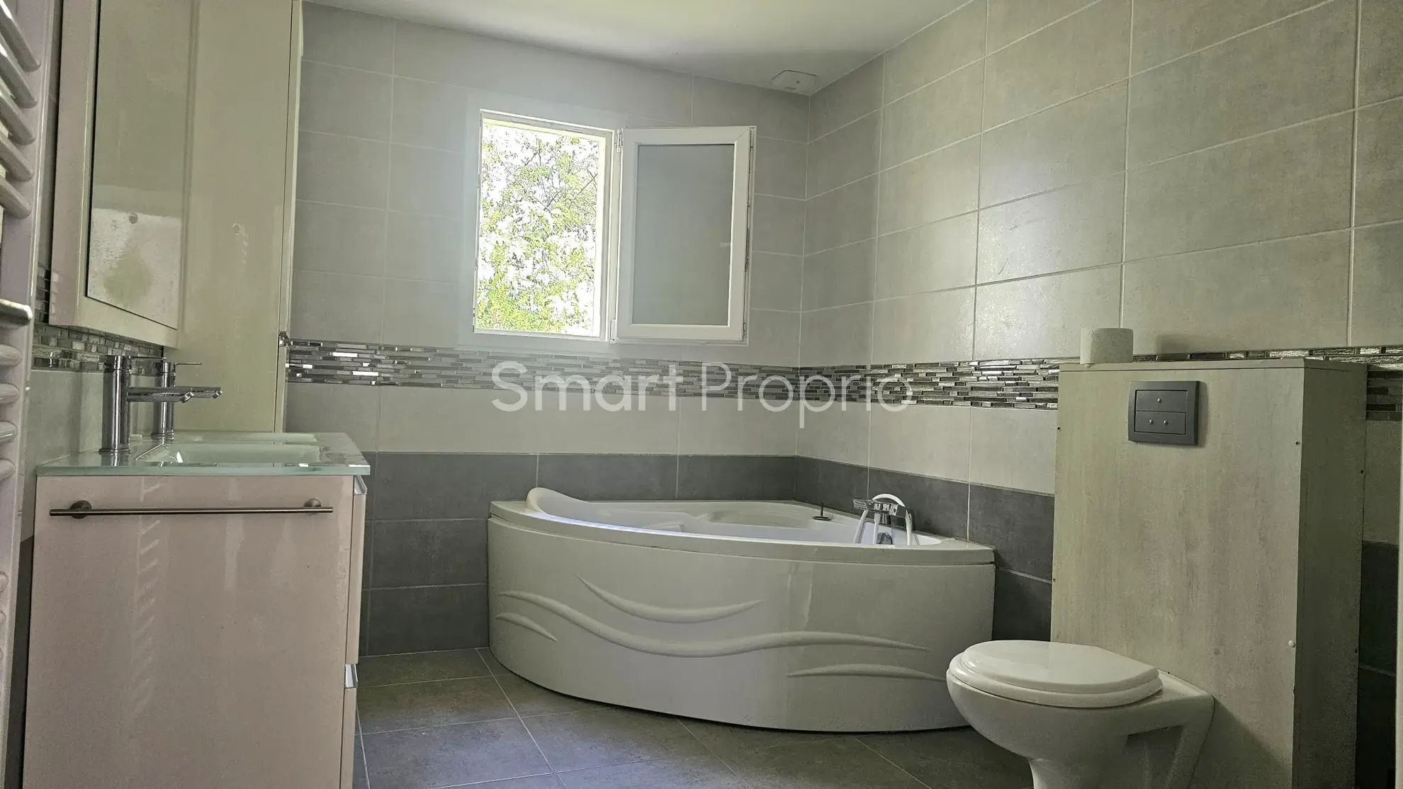 Maison de plain-pied récente à Chanas avec terrasse et garage 