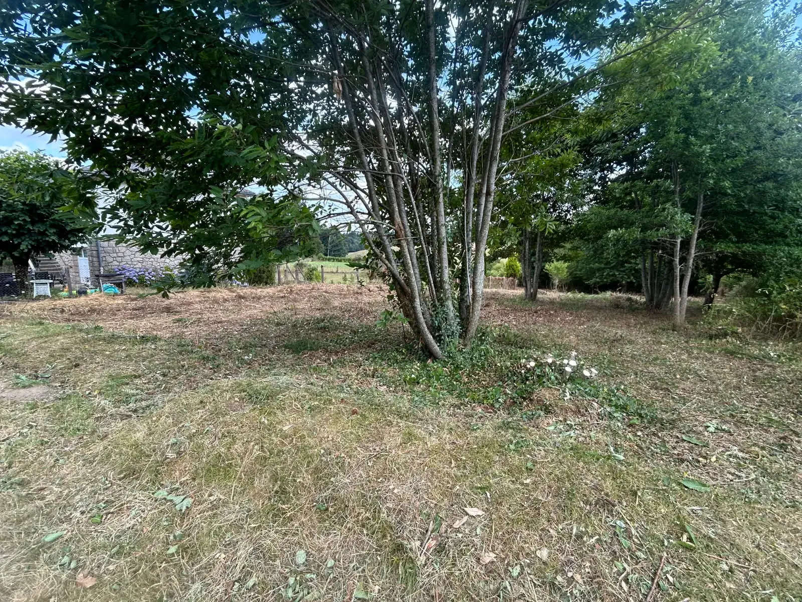 Terrain constructible de 1600 m² à Montaignac-sur-Doustre en Corrèze 