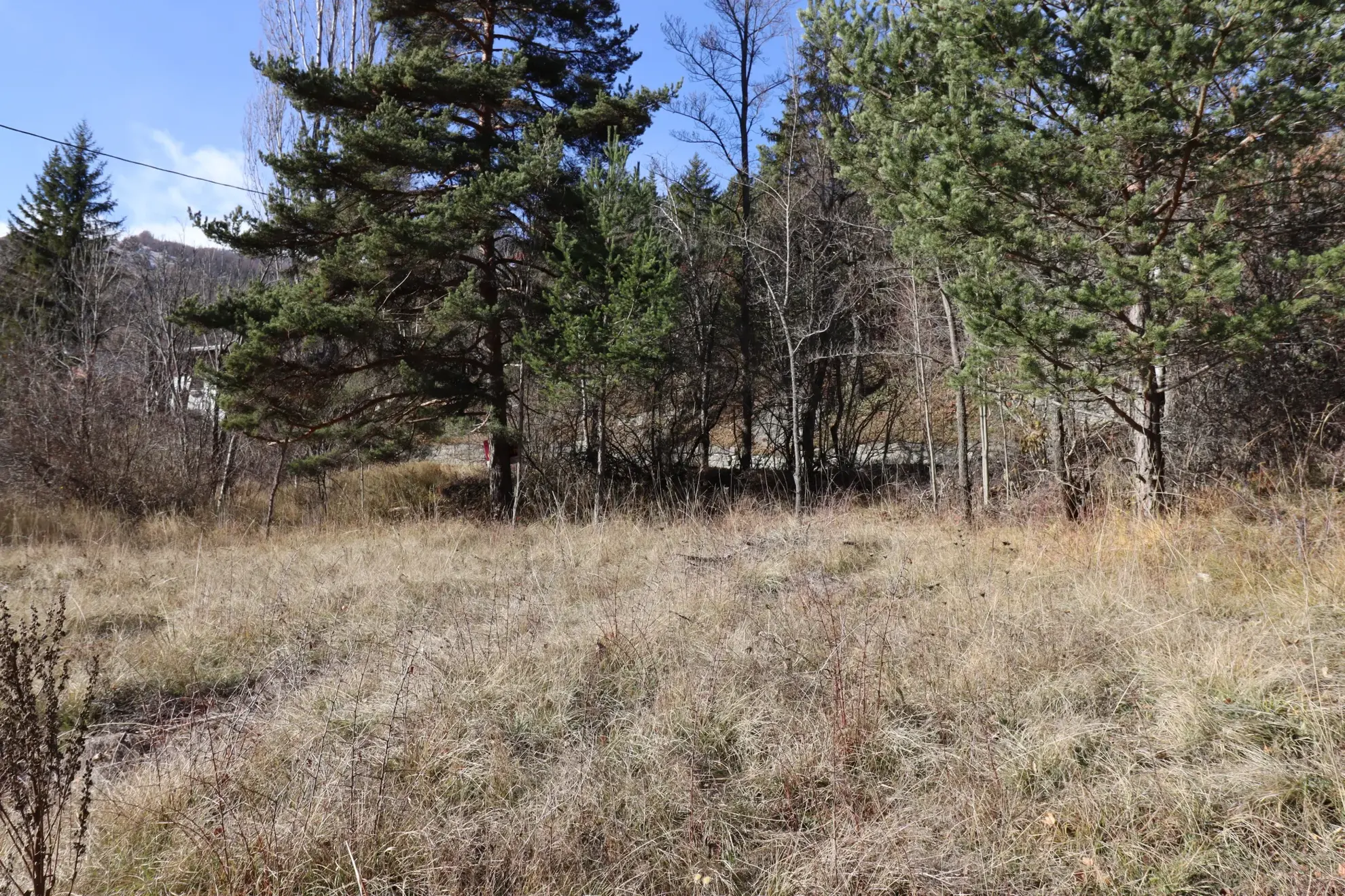 Terrain à vendre à Villars-Colmars, constructible et viabilisé 