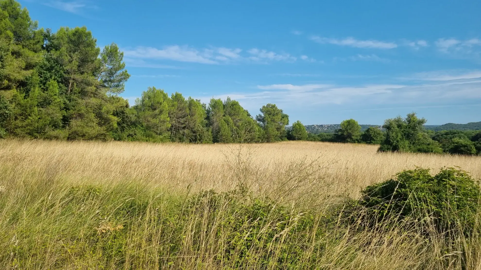 Terrain agricole de 2,37 ha à vendre à Salinelles, proximité de Sommières