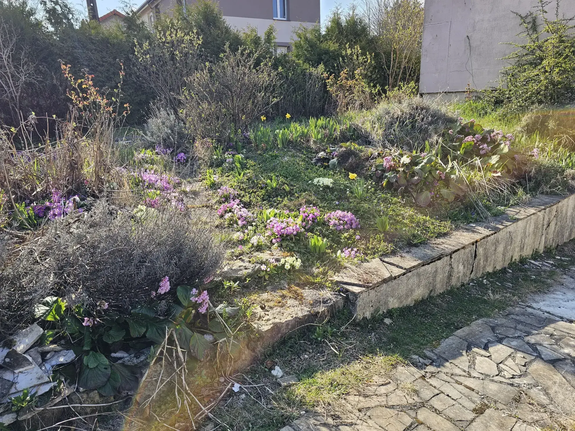 Maison à vendre à Cantebonne avec 4 chambres et grand terrain 