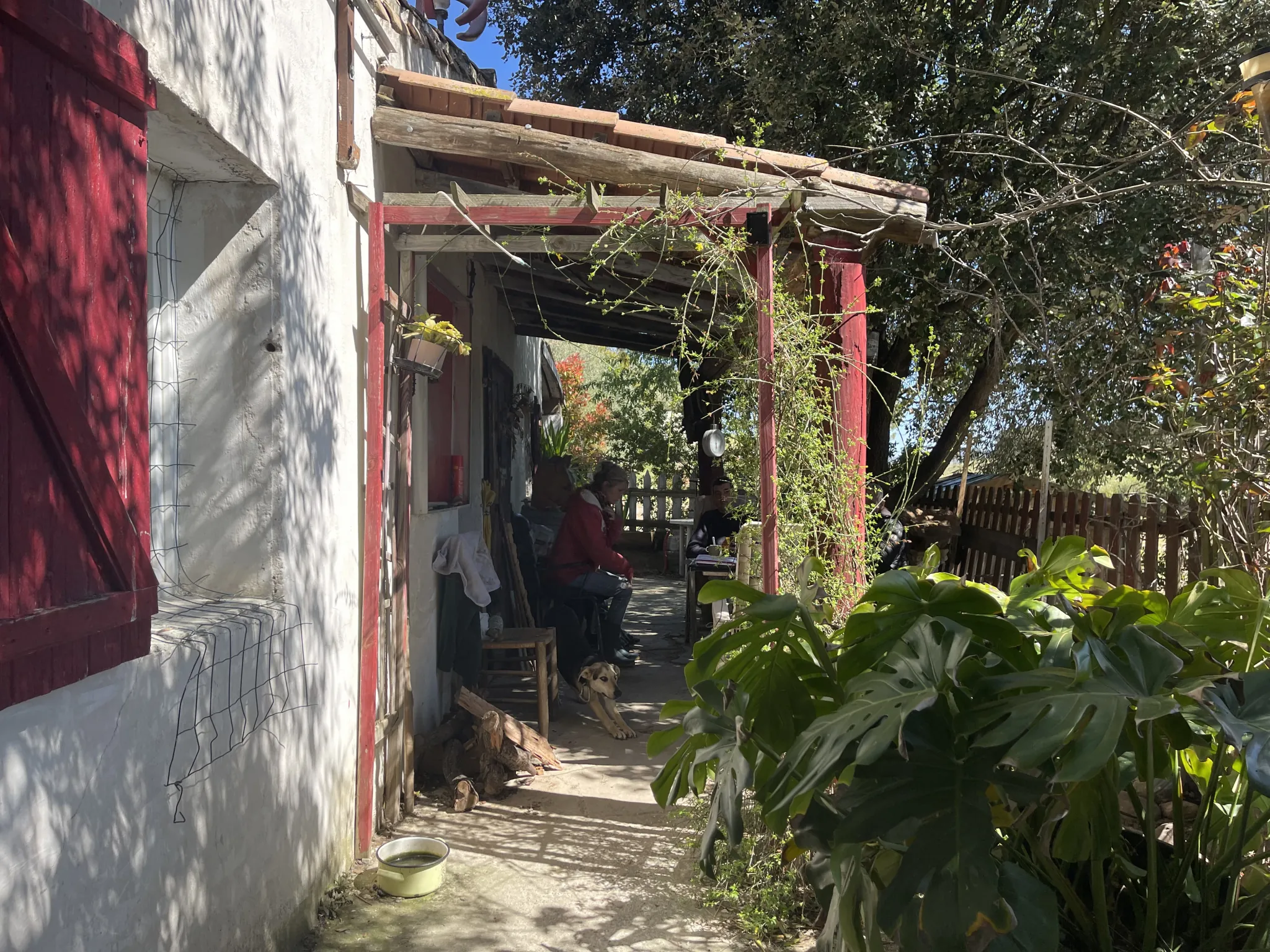 Propriété équestre de 3 hectares avec vue sur les Pyrénées à Limoux 