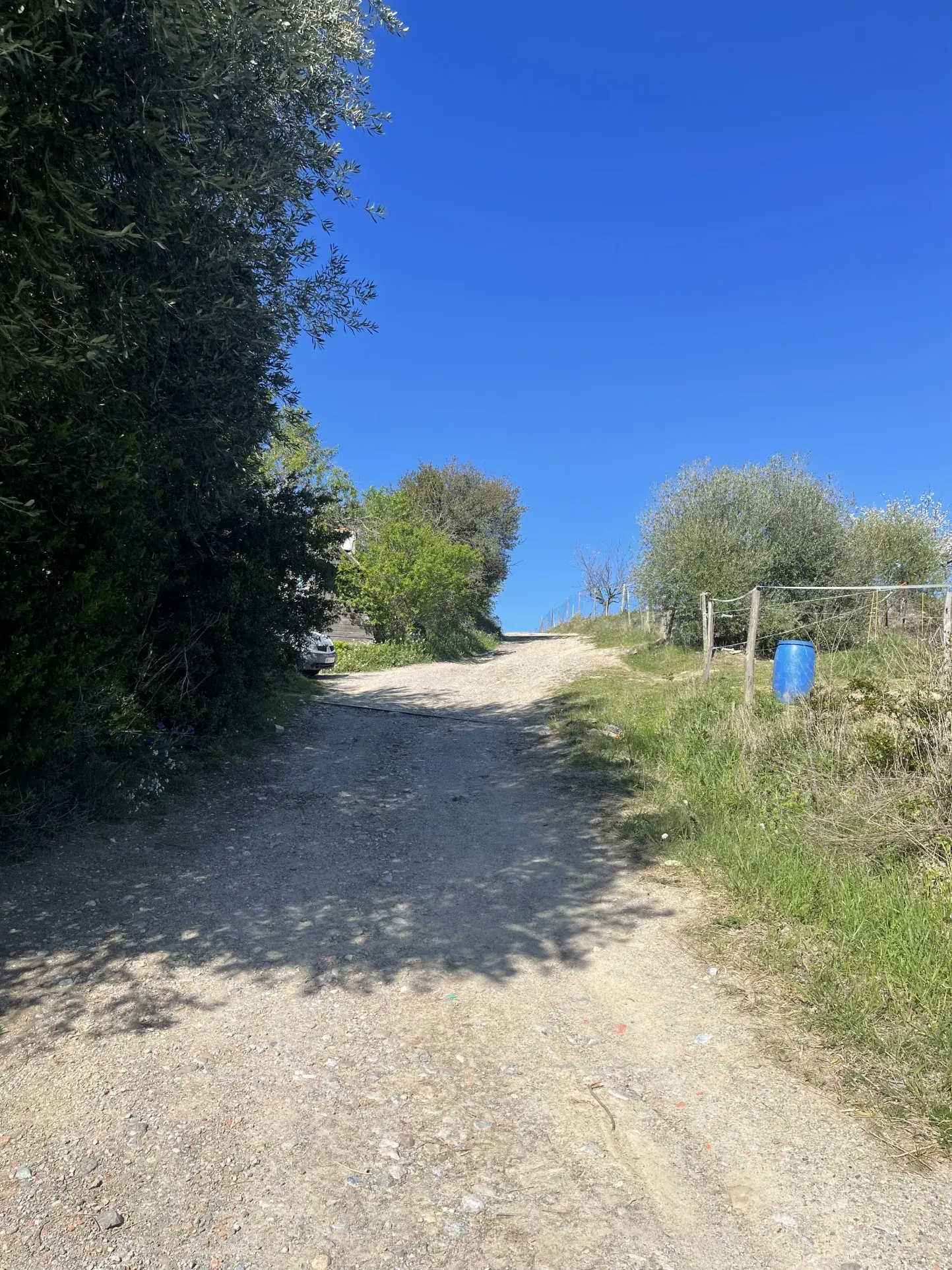 Propriété équestre de 3 hectares avec vue sur les Pyrénées à Limoux 