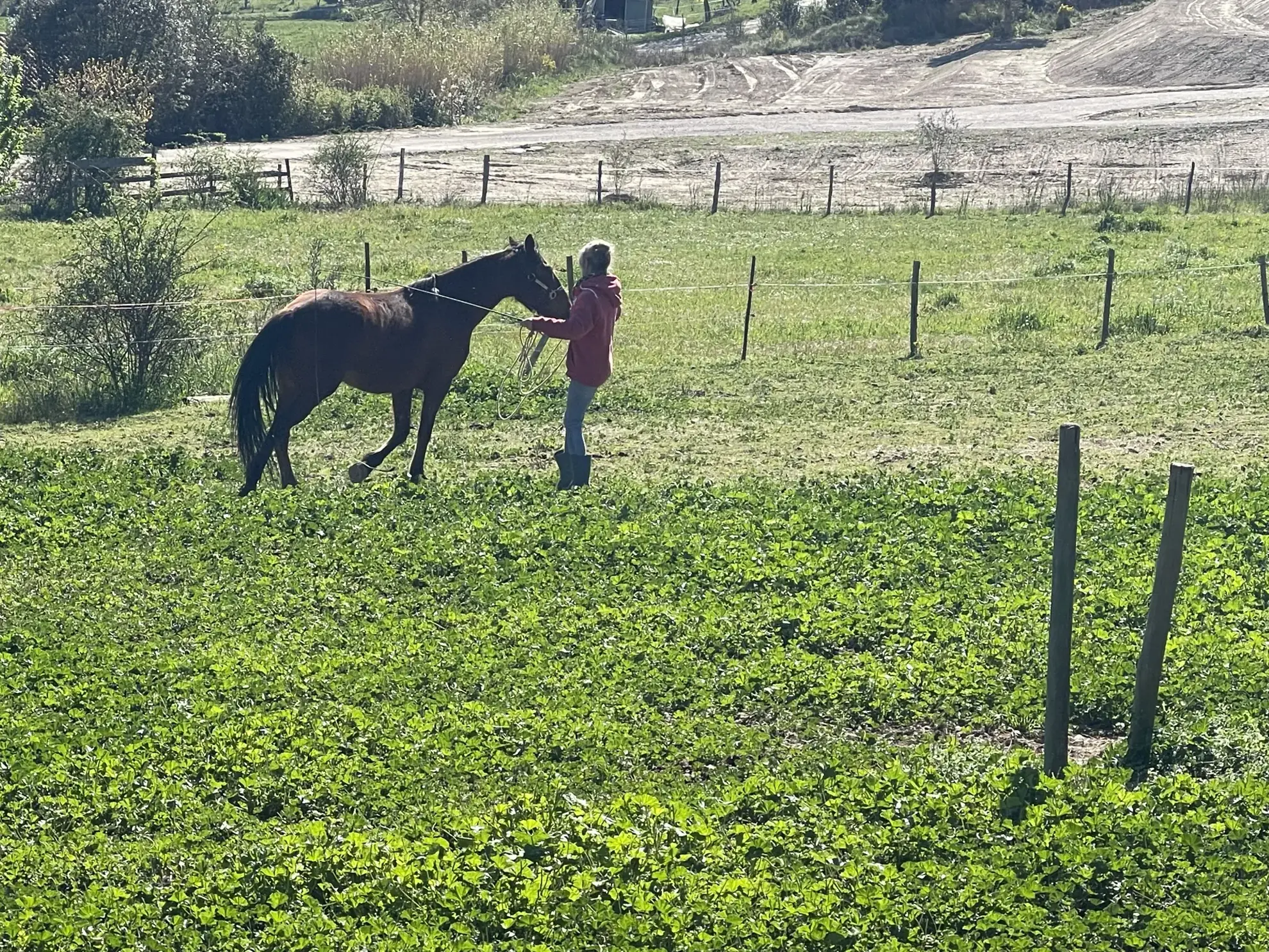 Propriété équestre de 3 hectares avec vue sur les Pyrénées à Limoux 