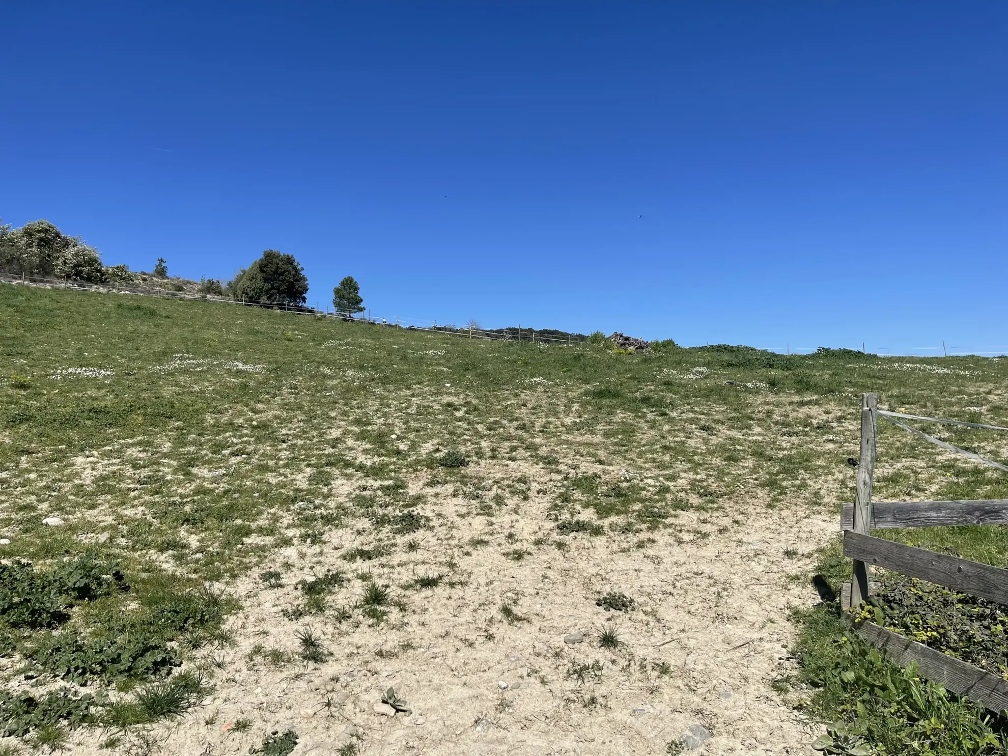 Propriété équestre de 3 hectares avec vue sur les Pyrénées à Limoux 