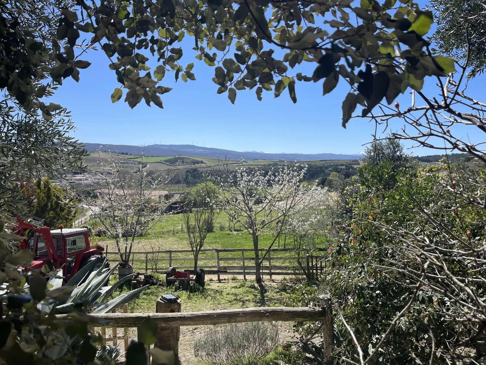 Propriété équestre de 3 hectares avec vue sur les Pyrénées à Limoux 