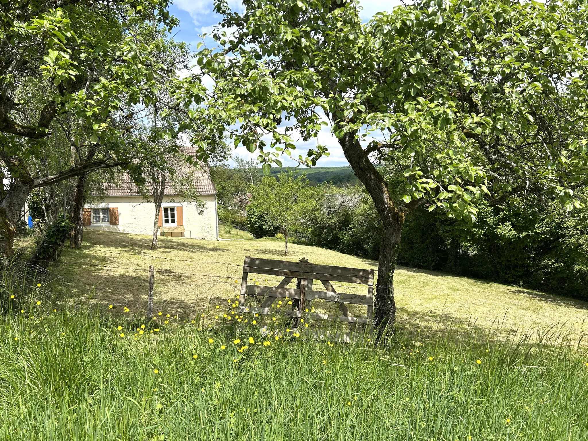 Maison en pierre avec dépendances à Nolay - Proche commerces, calme et grand terrain 