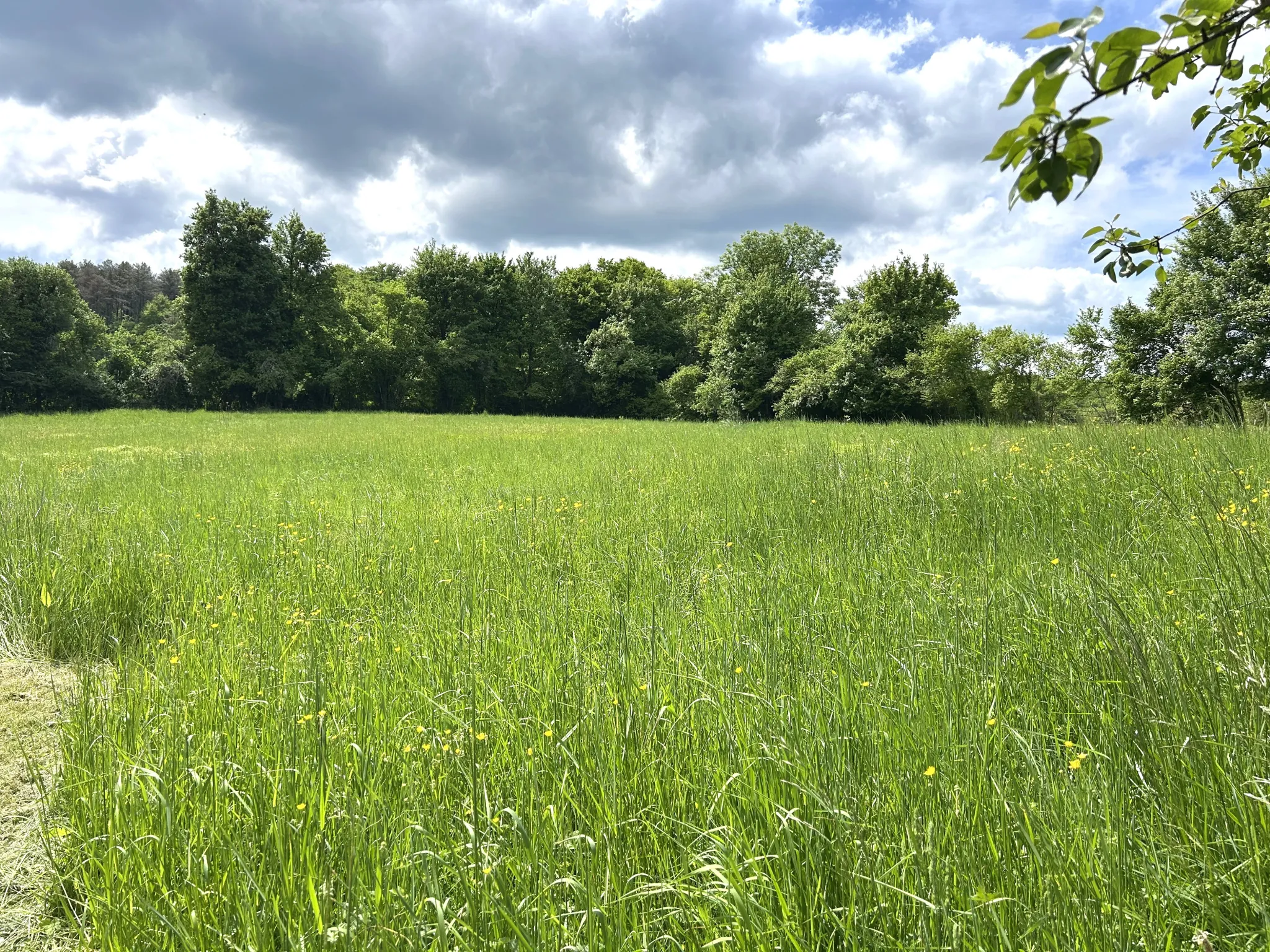 Maison en pierre avec dépendances à Nolay - Proche commerces, calme et grand terrain 