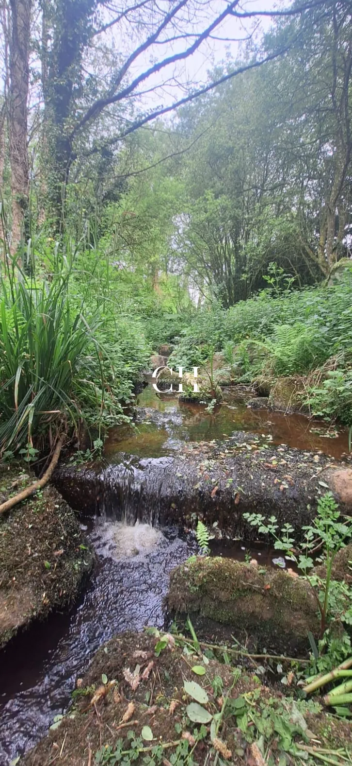 Maison de campagne à vendre à Saint-Jacut-du-Mené avec grand terrain et 6 chambres 