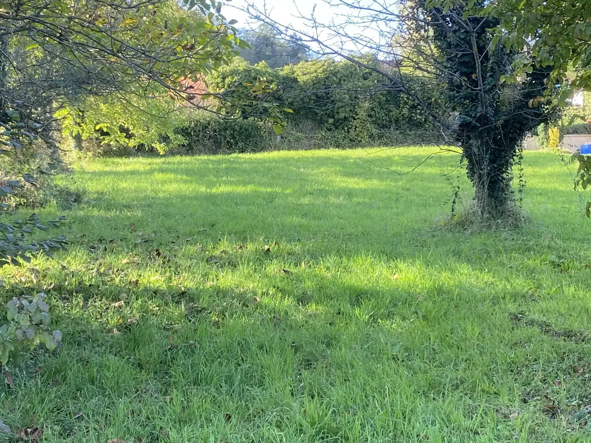 Terrain constructible à Courpière de 1000 m², exposé sud, proche centre-ville 