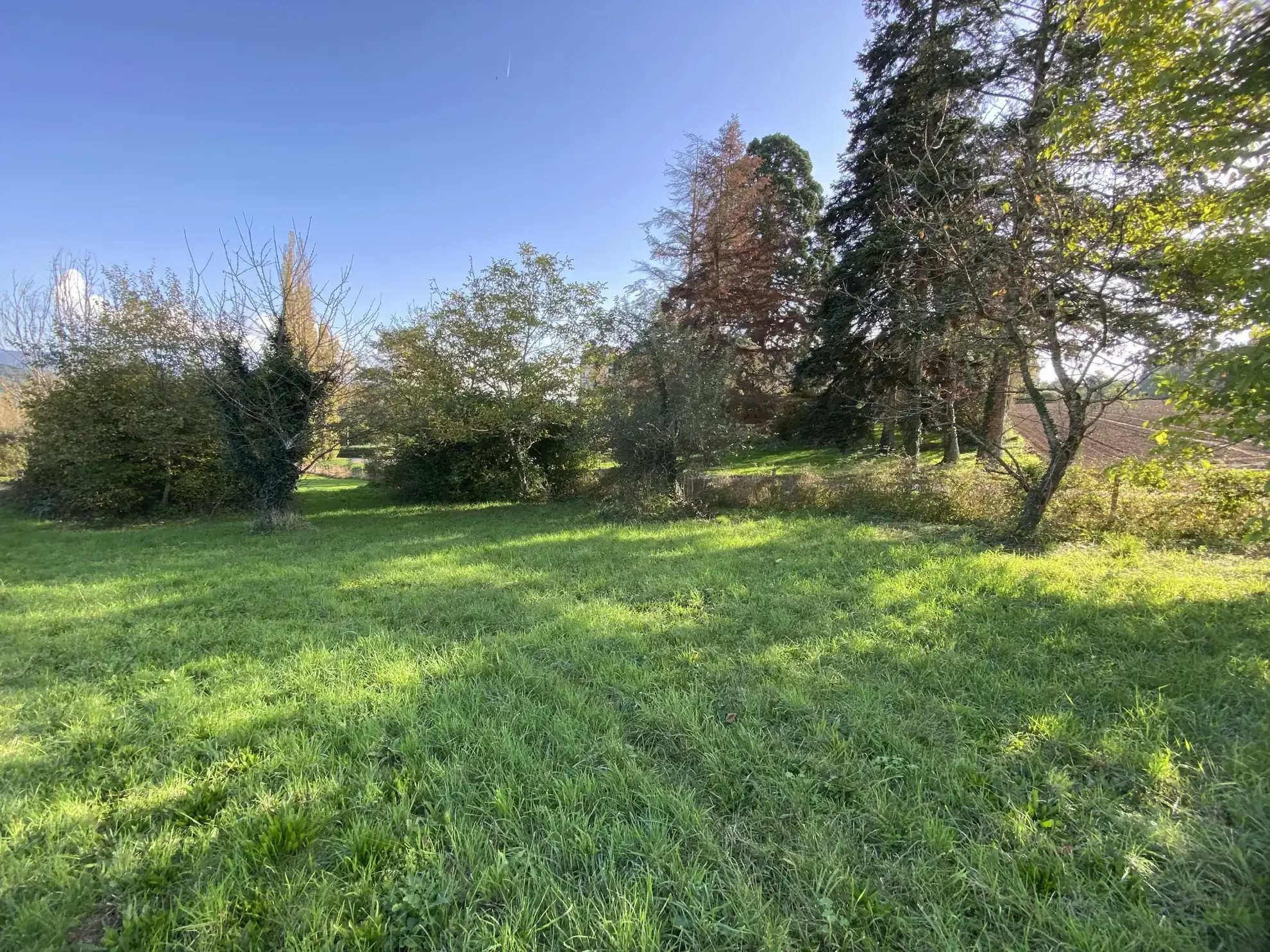 Terrain constructible à Courpière de 1000 m², exposé sud, proche centre-ville 