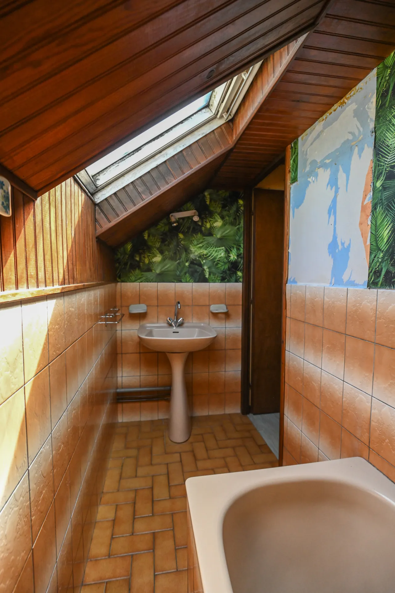 Maison à vendre à Clerval (Doubs) avec grand terrain et vue dégagée 