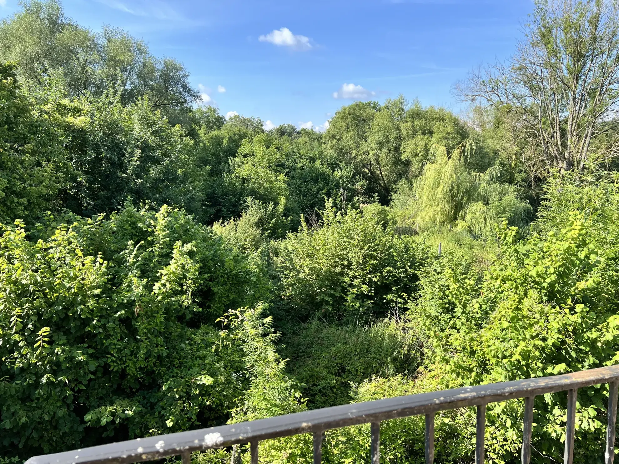 Maison individuelle à vendre à Berviller-en-Moselle avec sous-sol, terrasse et terrain spacieux 