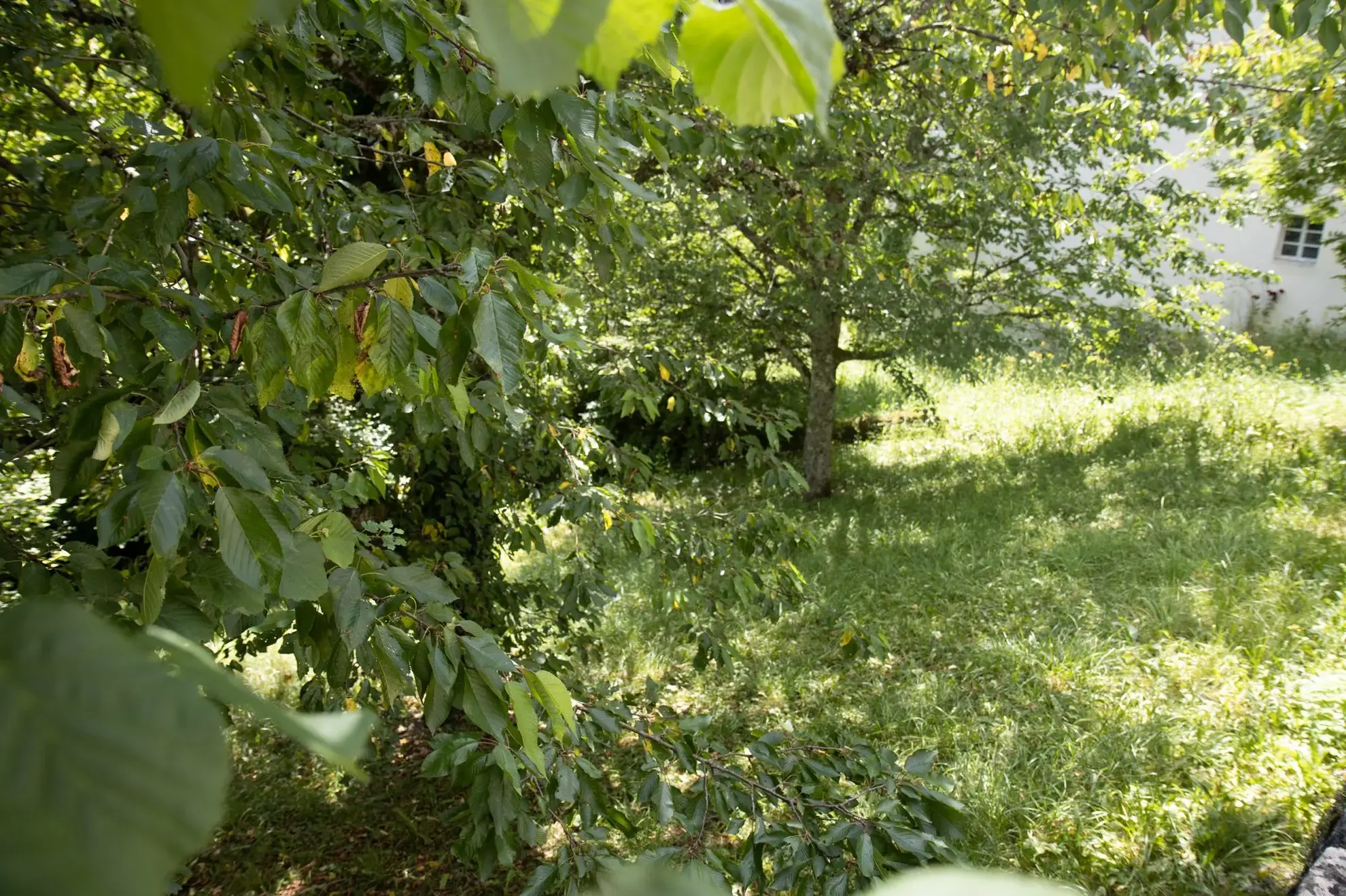 Terrain constructible de 450 m2 à Mouthier-Haute-Pierre avec vue imprenable