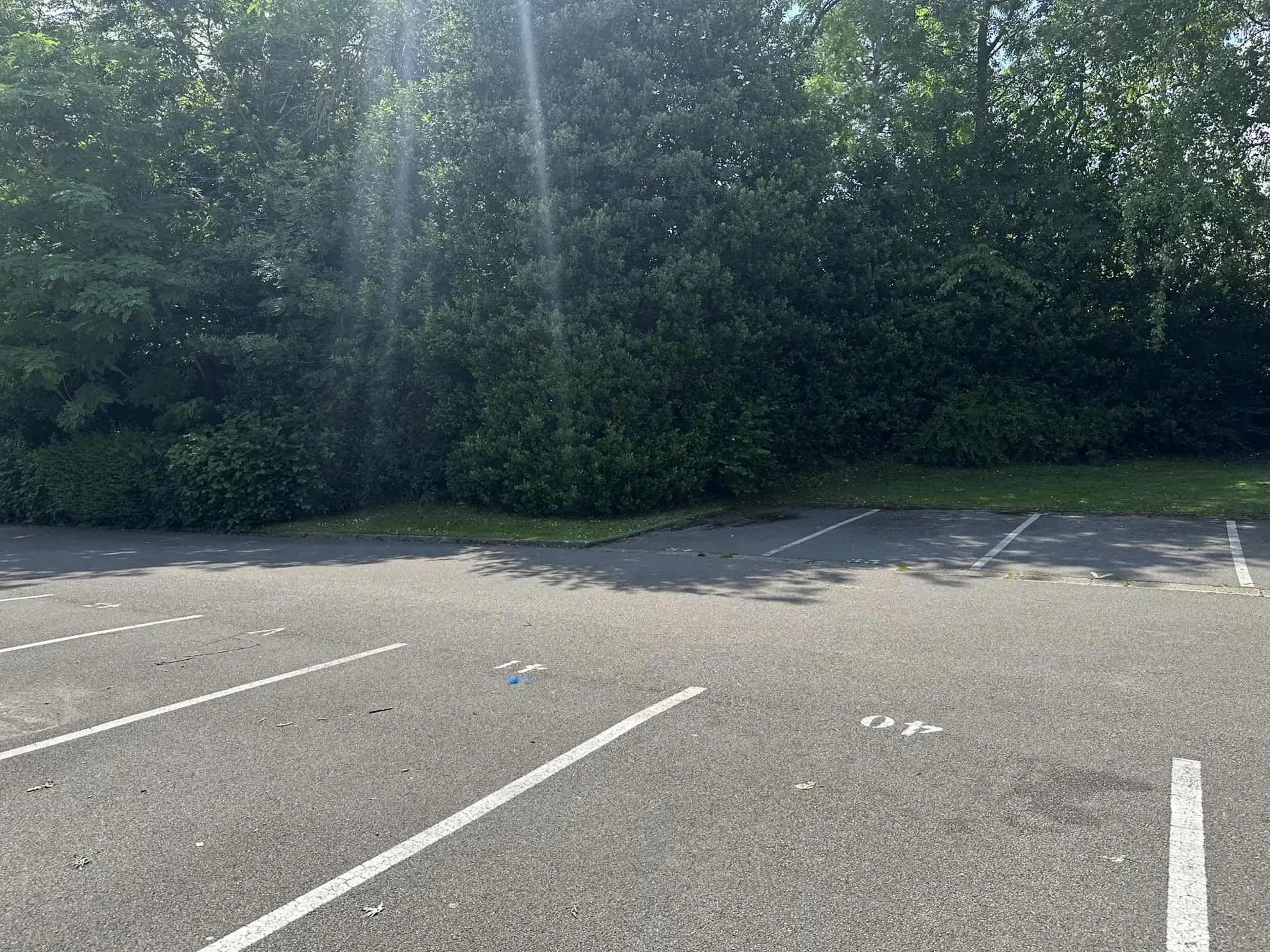 Studio à rénover à Le Mesnil-Esnard - Opportunité d'investissement 