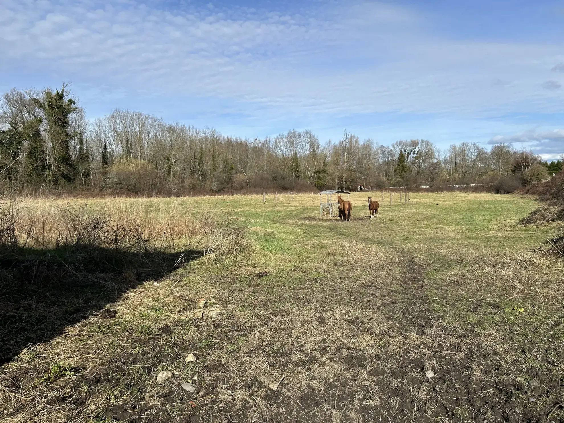 Charmante maison de 110m² avec terrain et dépendances à Puy Guillaume 