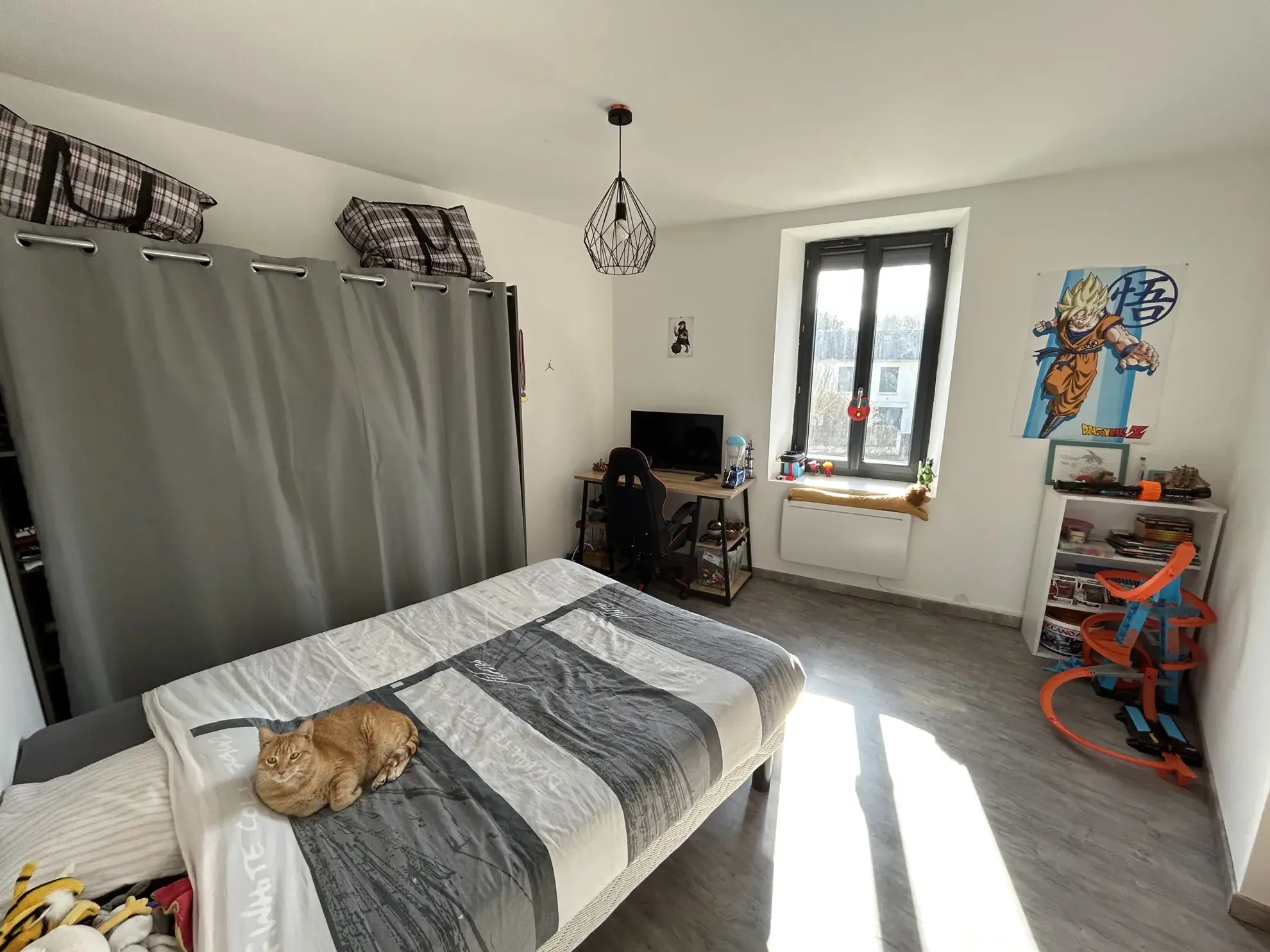 Charmante maison de 110m² avec terrain et dépendances à Puy Guillaume 