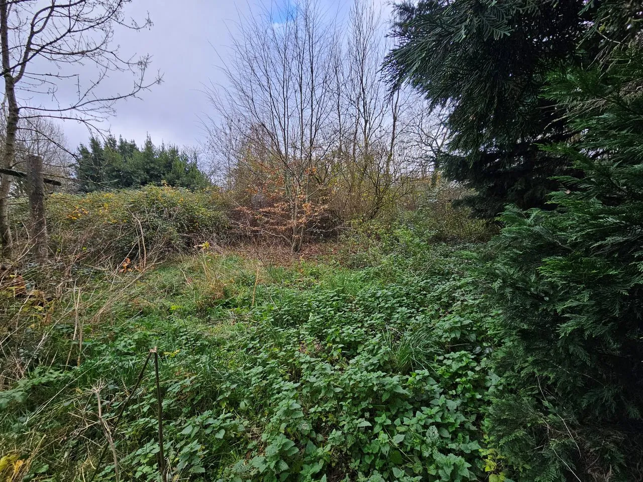 Maison 2 pièces avec jardin de 752 m2 à Lathus St Rémy 