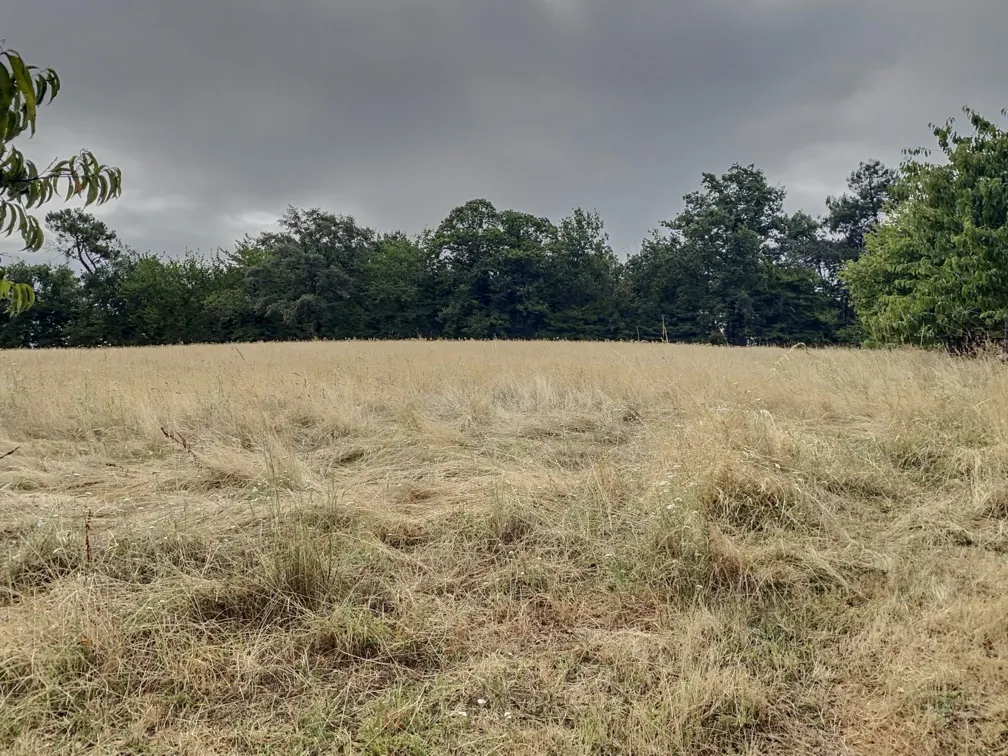 Maison de campagne à vendre entre Périgueux et Bergerac dans le Périgord 