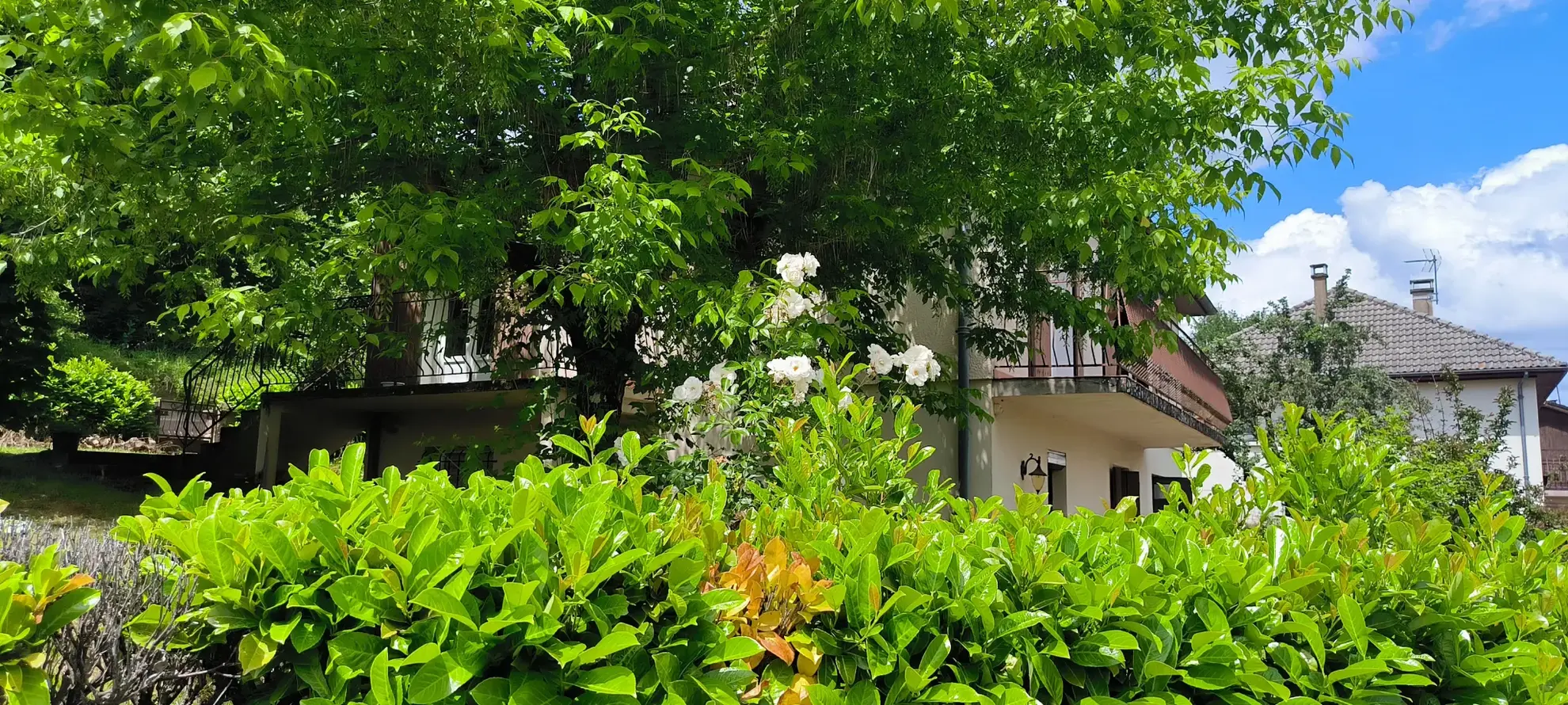 Maison 140 m² avec vue dégagée et jardin arboré à Clairvaux d’Aveyron 