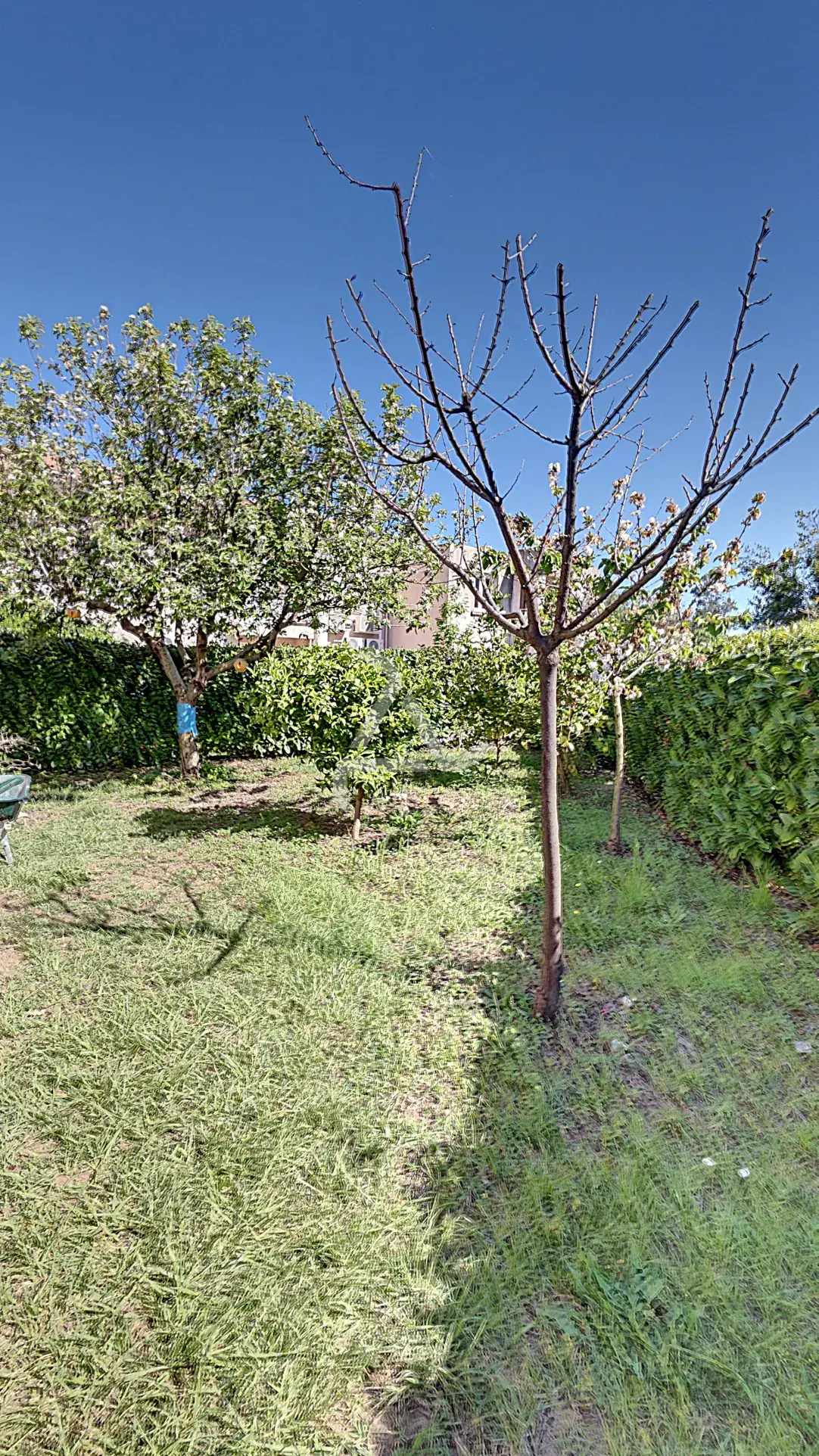 Villa en viager à Moriani Plage - Maison T5 proche plage et commerces 