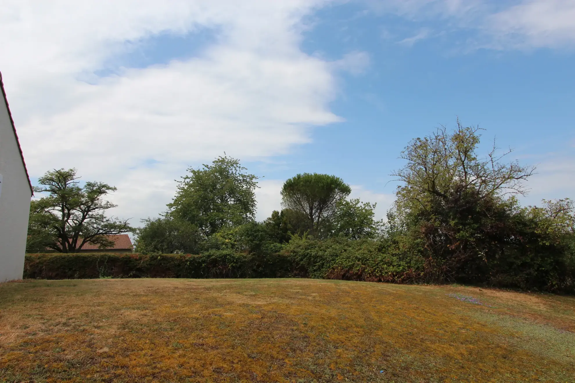 Maison plain-pied rénovée avec 3 chambres, jardin piscinable et garage à Echiré 