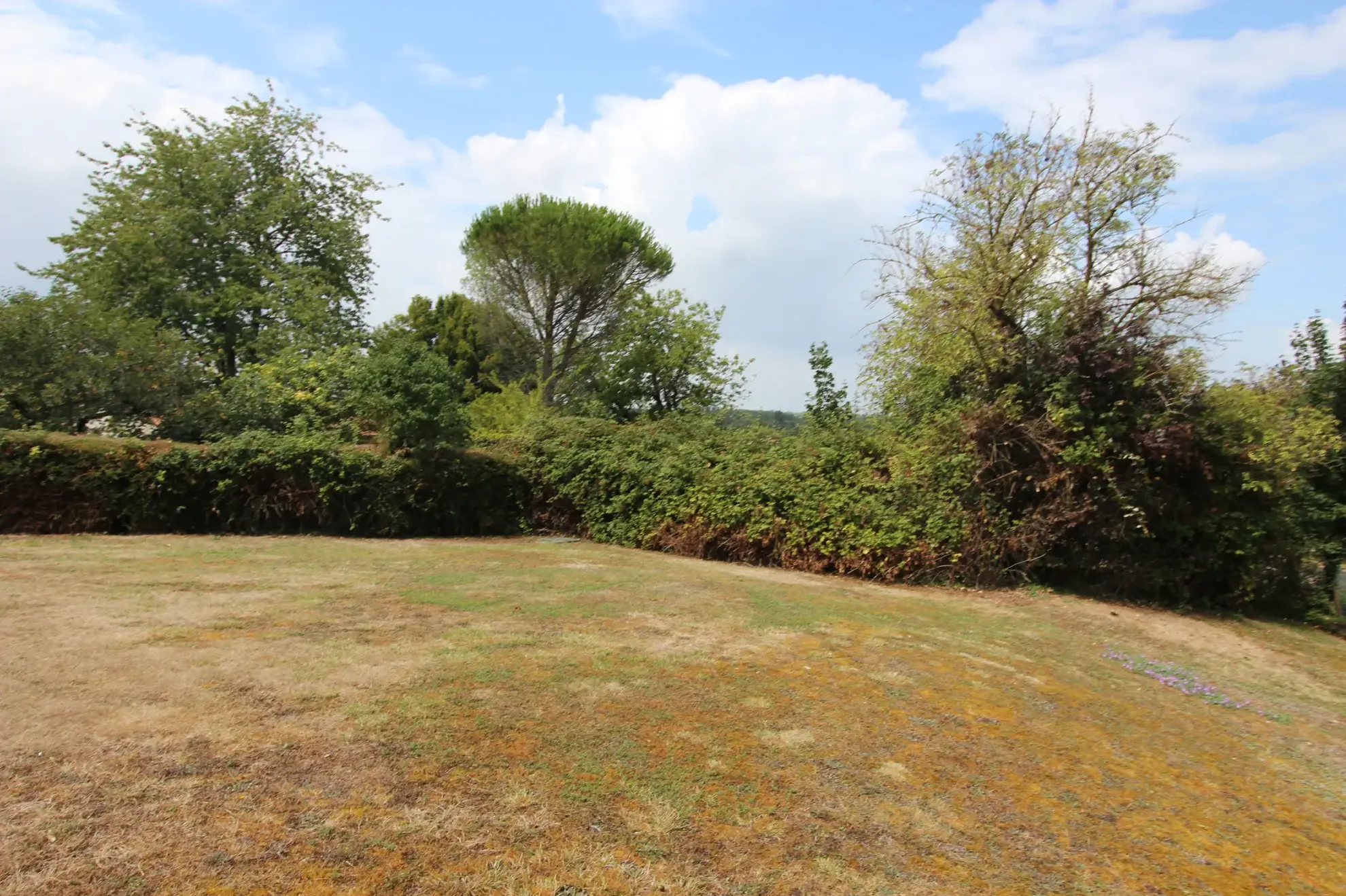 Maison plain-pied rénovée avec 3 chambres, jardin piscinable et garage à Echiré 