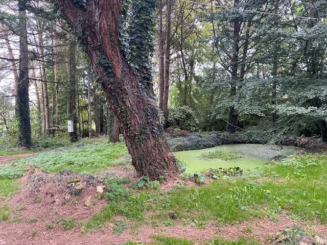 Ferme isolée à Veyrines-de-Vergt, grand potentiel en Dordogne 