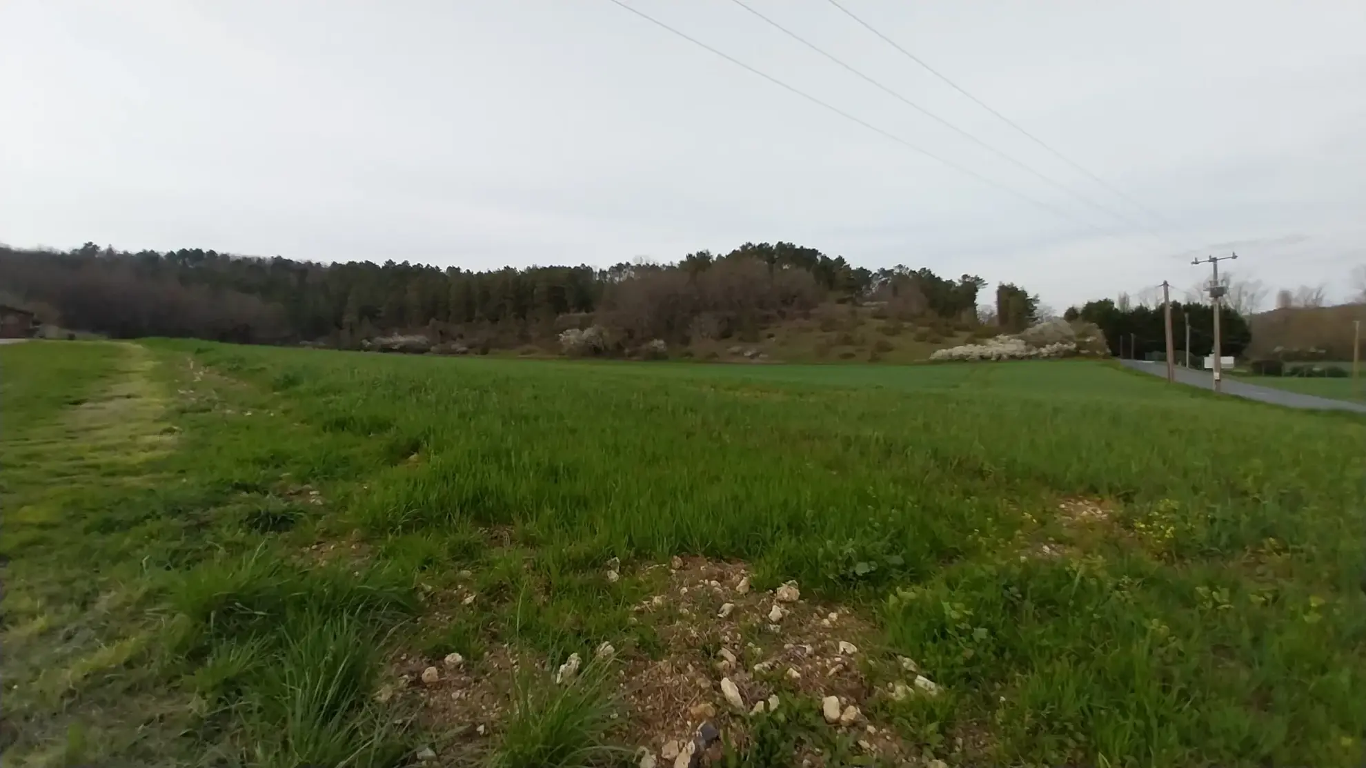 Terrain constructible à Château l'Évêque pour projet de lotissement - 1,9 hectares