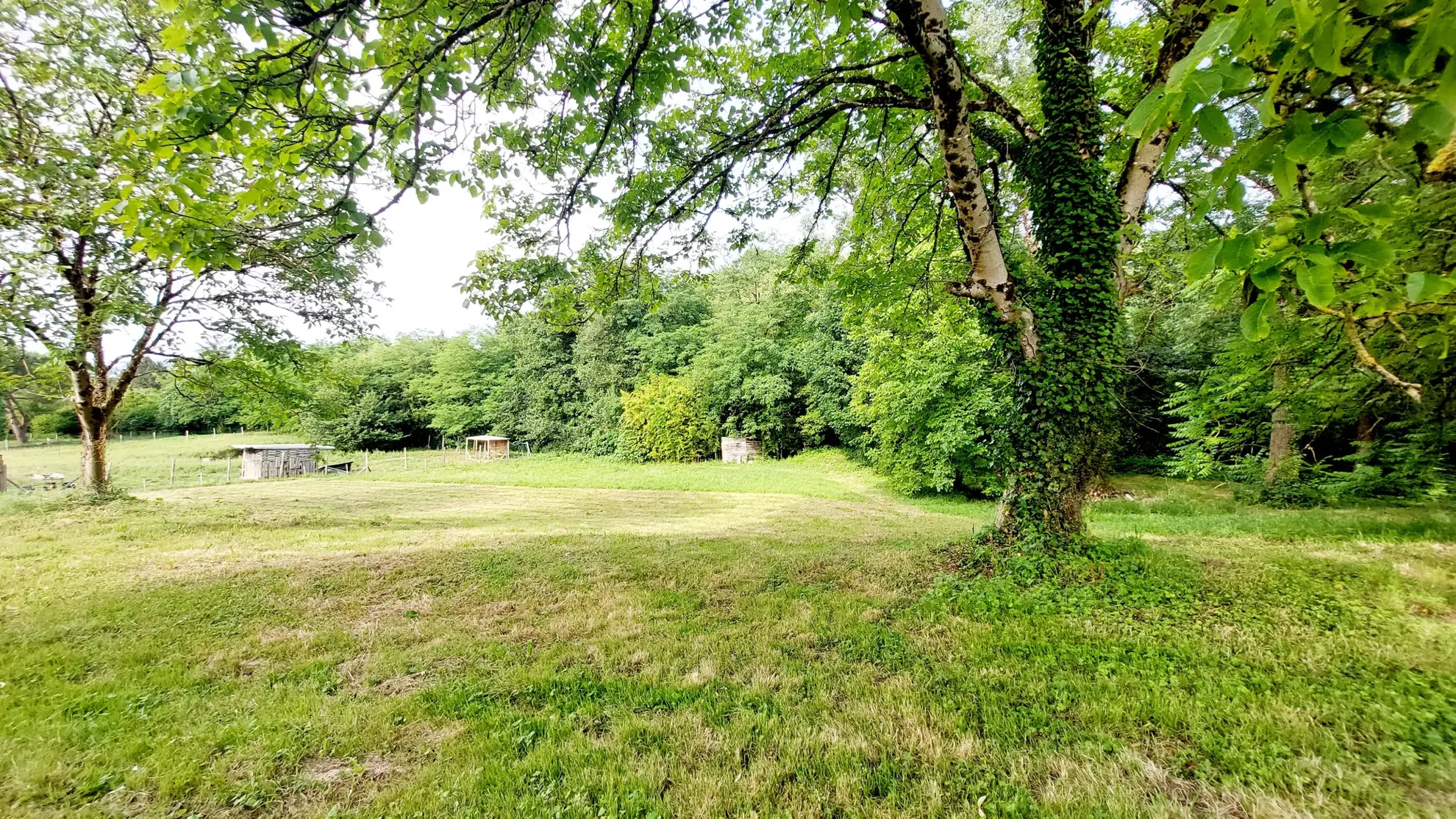 Maison de plain-pied de 120 m² avec piscine sur 2,5 ha à La Réole 