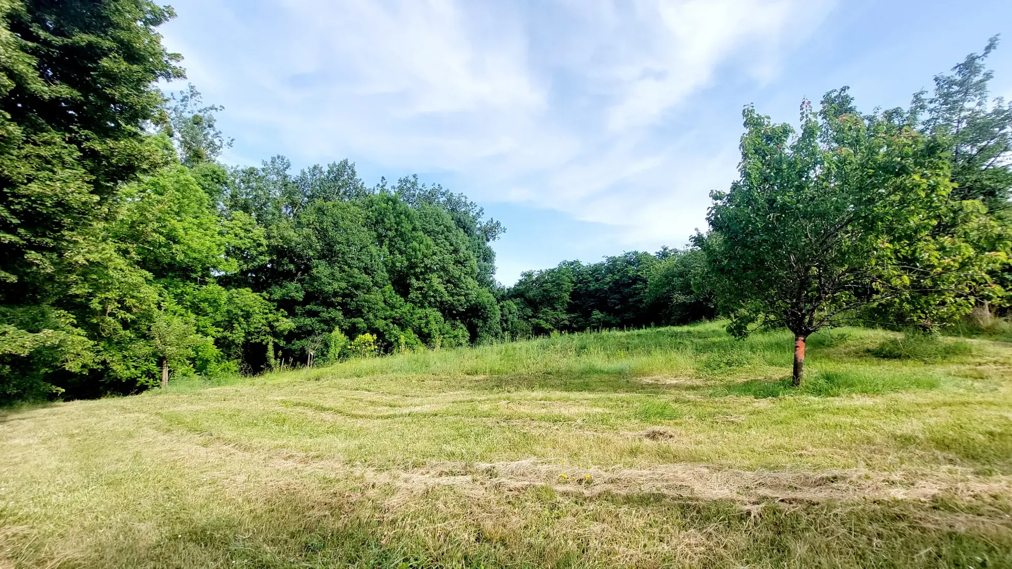 Maison de plain-pied de 120 m² avec piscine sur 2,5 ha à La Réole 