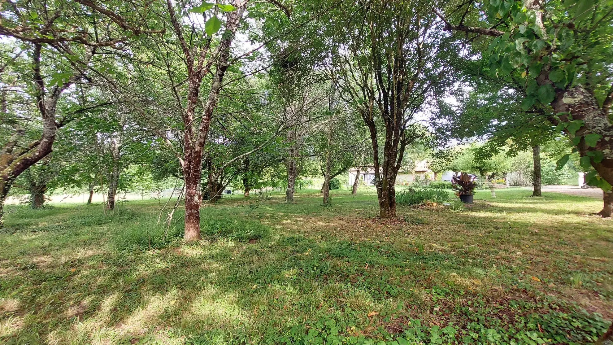 Maison de plain-pied de 120 m² avec piscine sur 2,5 ha à La Réole 