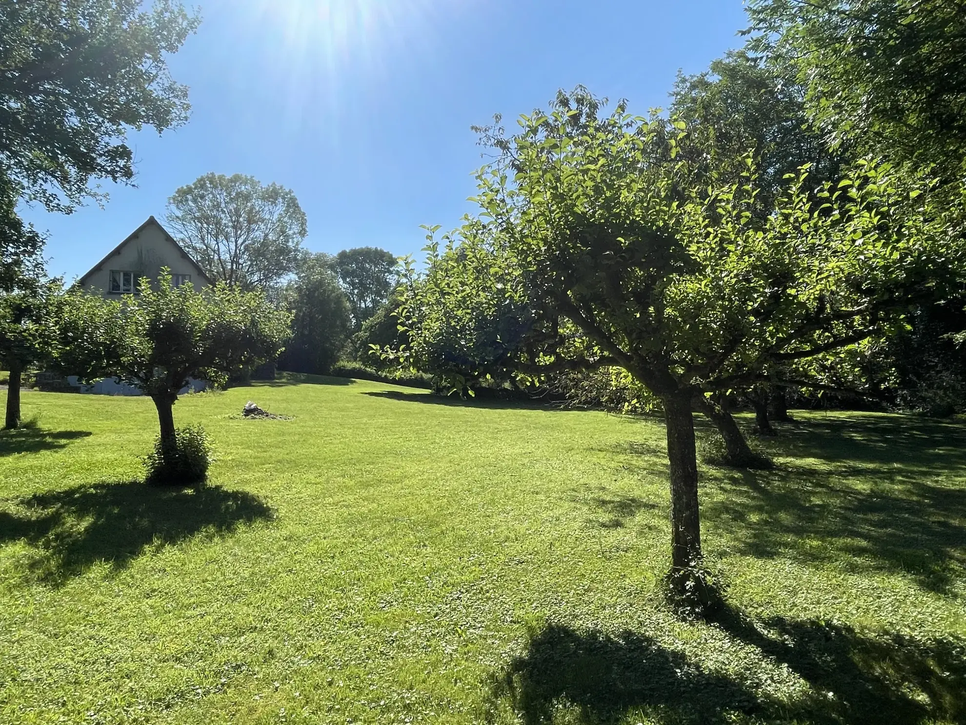 Maison spacieuse à Premery avec grands terrains et environnement paisible 