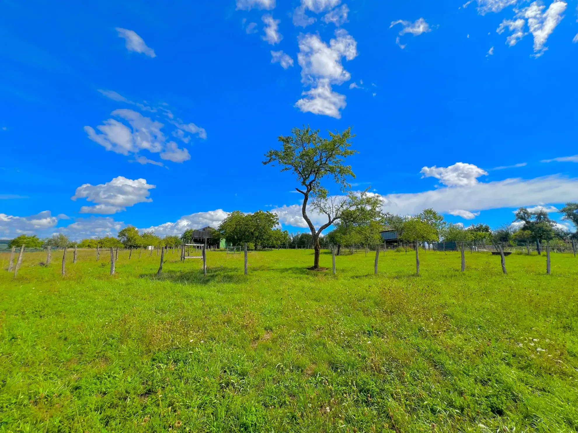 Maison en pierre à Gendrey – 133 m² avec terrain de 2028 m² 