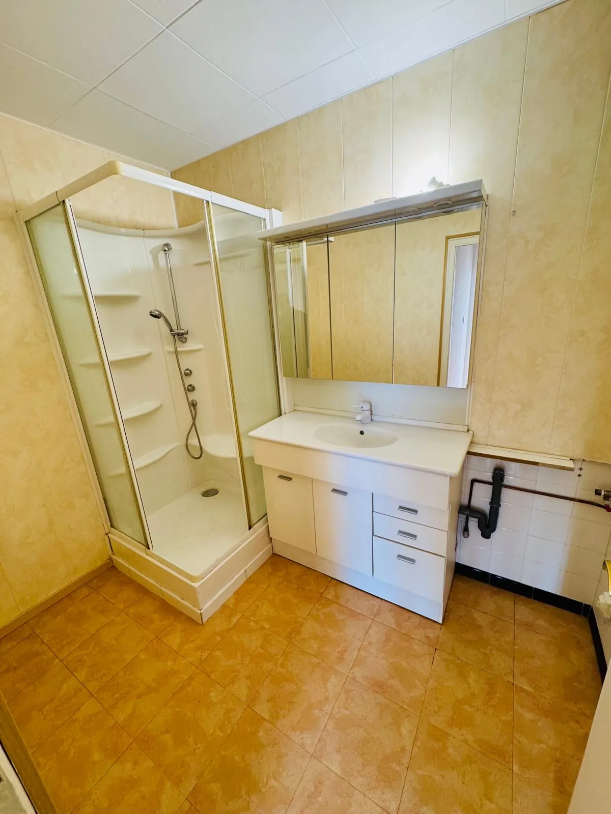 Appartement T4 à Grenoble avec terrasse, vue panoramique et garage - Belle opportunité 