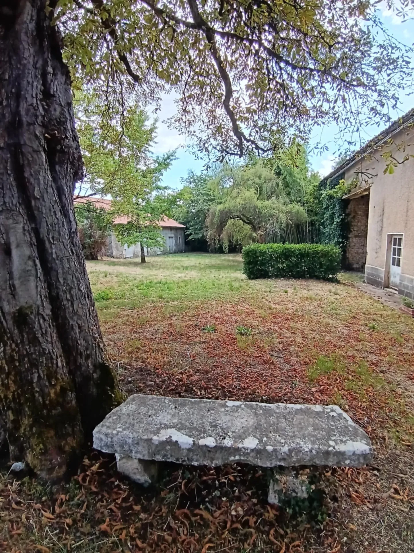 Maison de caractère à Brux avec cheminée, dépendances et parc clos 