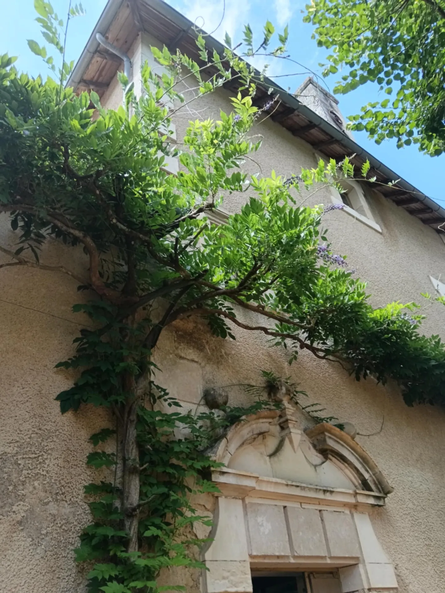 Maison de caractère à Brux avec cheminée, dépendances et parc clos 