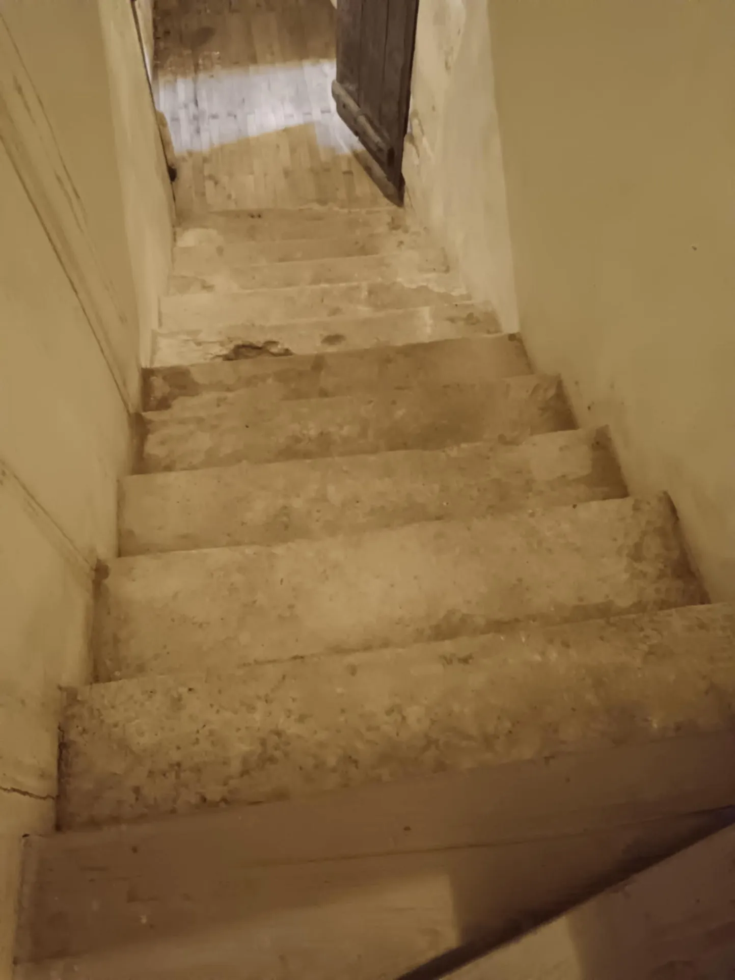 Maison de caractère à Brux avec cheminée, dépendances et parc clos 