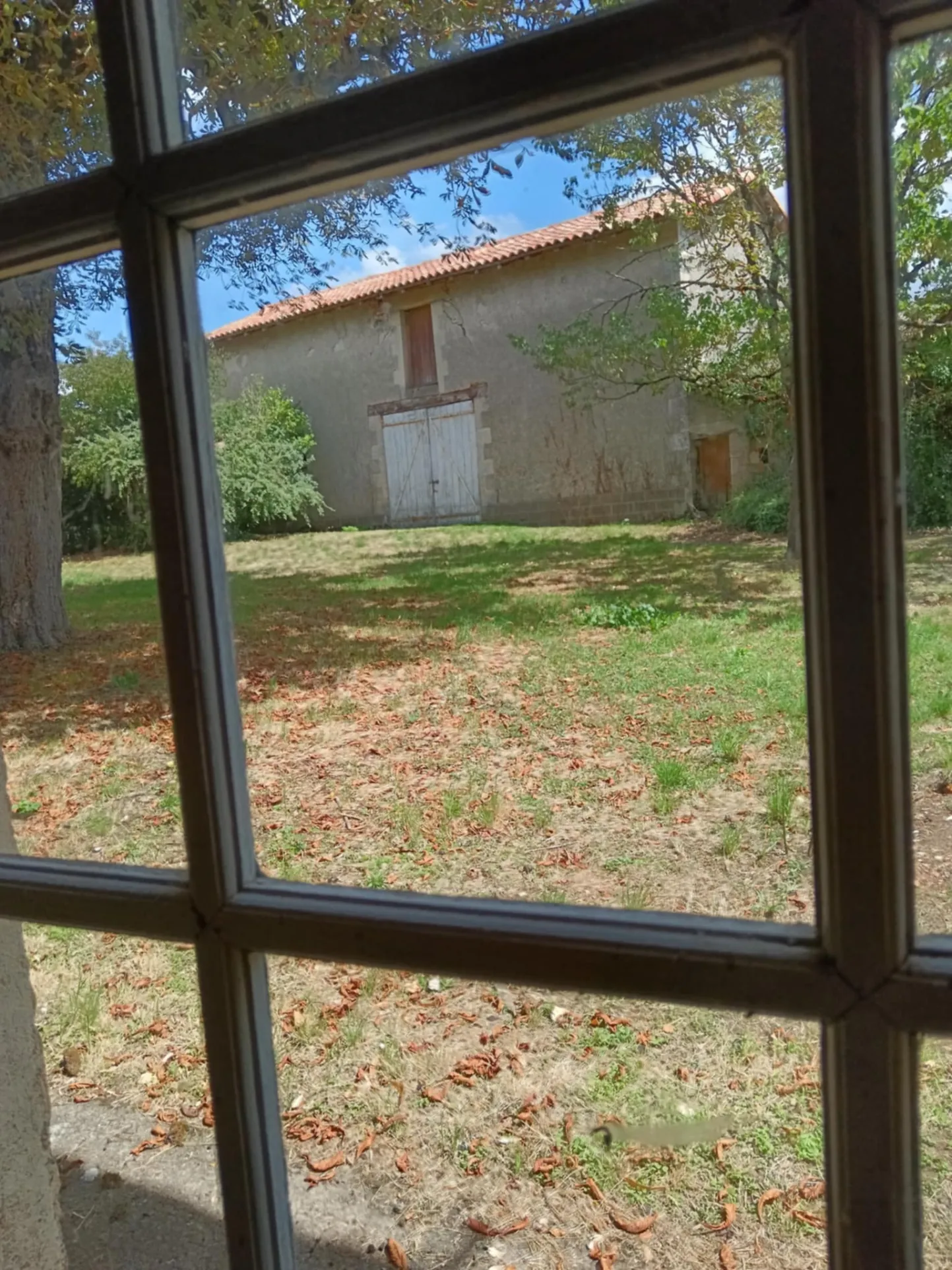 Maison de caractère à Brux avec cheminée, dépendances et parc clos 