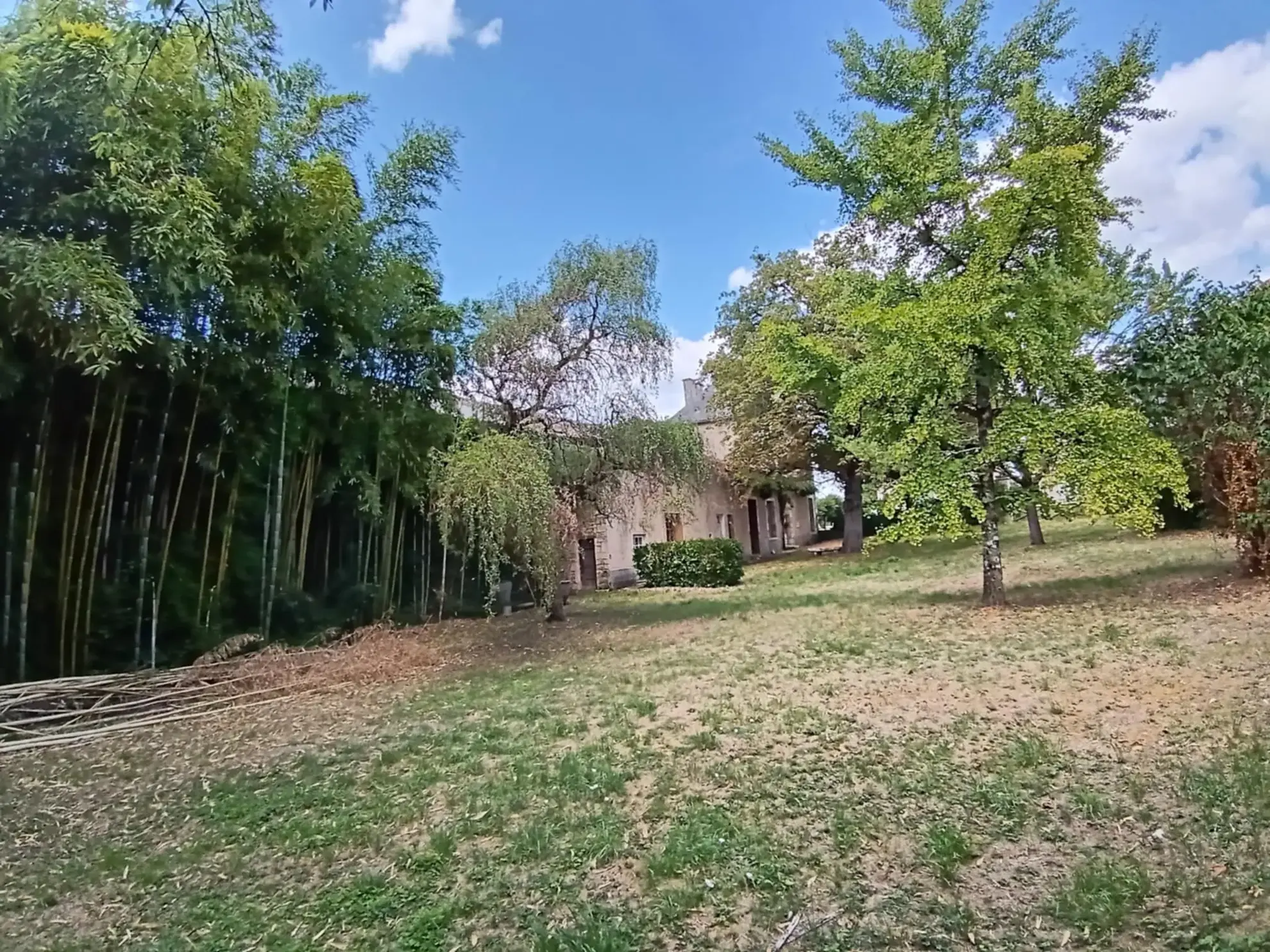 Maison de caractère à Brux avec cheminée, dépendances et parc clos 