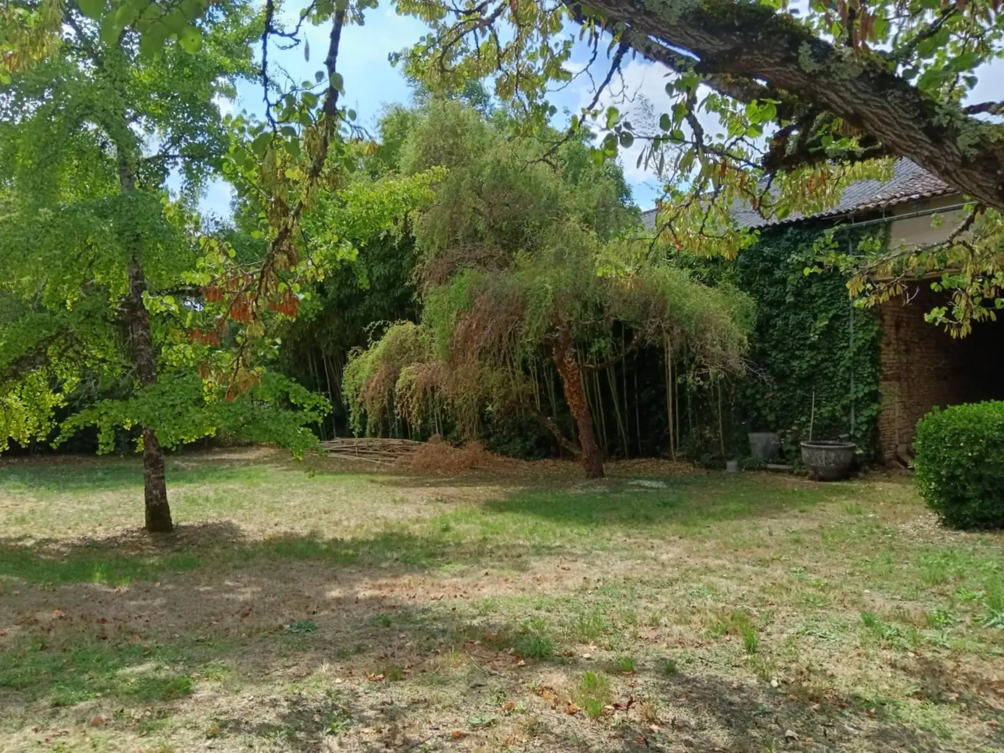 Maison de caractère à Brux avec cheminée, dépendances et parc clos 