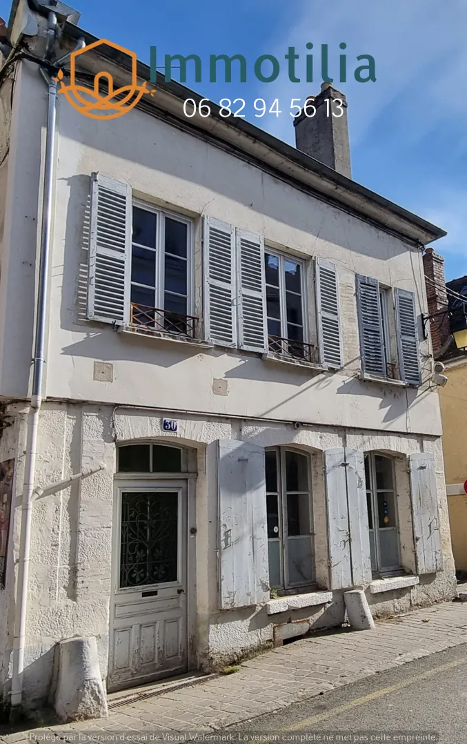 Maison à rénover à Bray-sur-Seine avec potentiel double logement - Investissement idéal 