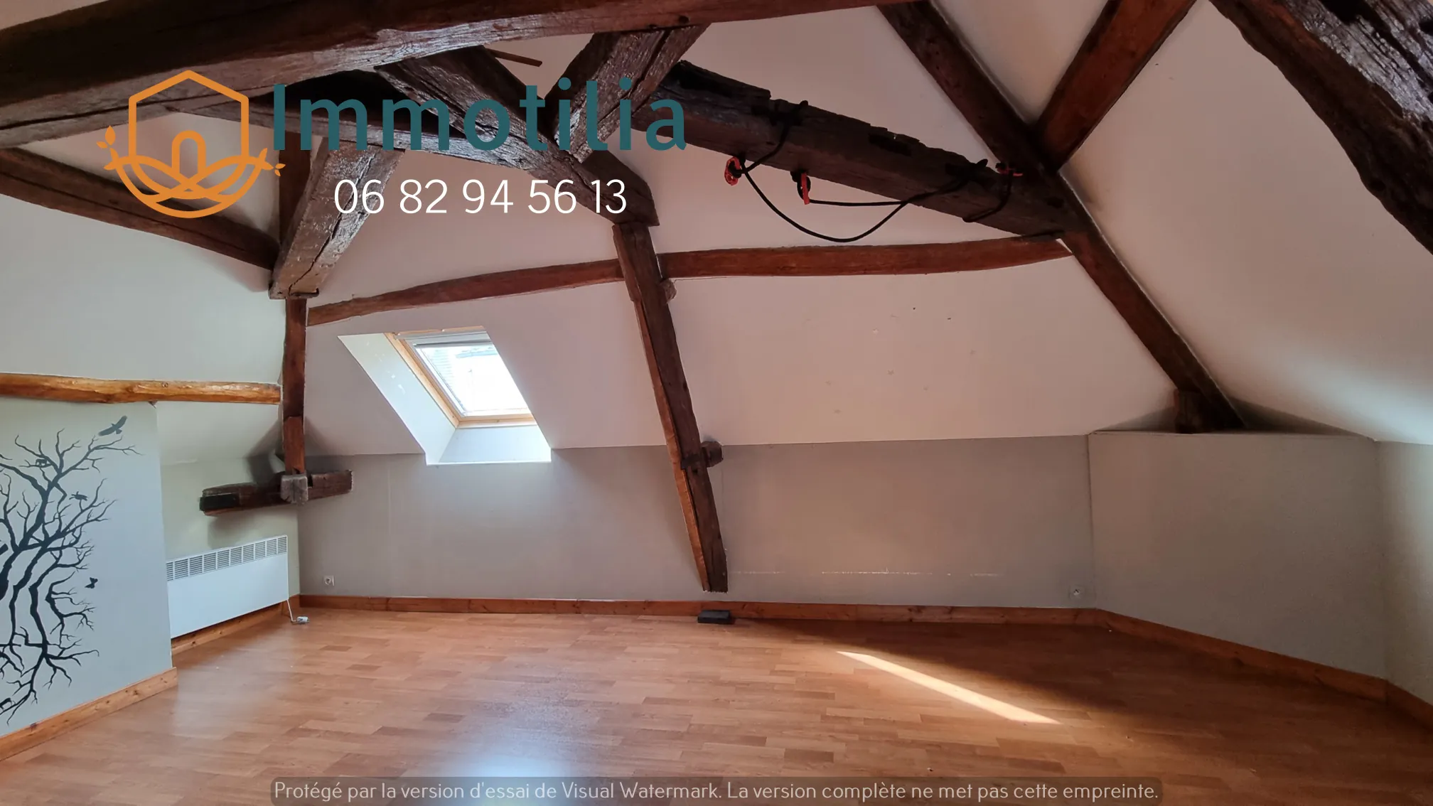 Maison à rénover à Bray-sur-Seine avec potentiel double logement - Investissement idéal 