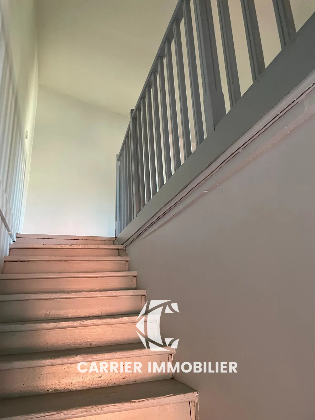 Duplex T3 à Craponne - Investissement locatif sécurisé et spacieux 